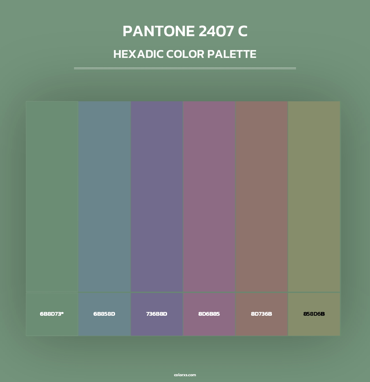 PANTONE 2407 C - Hexadic Color Palette