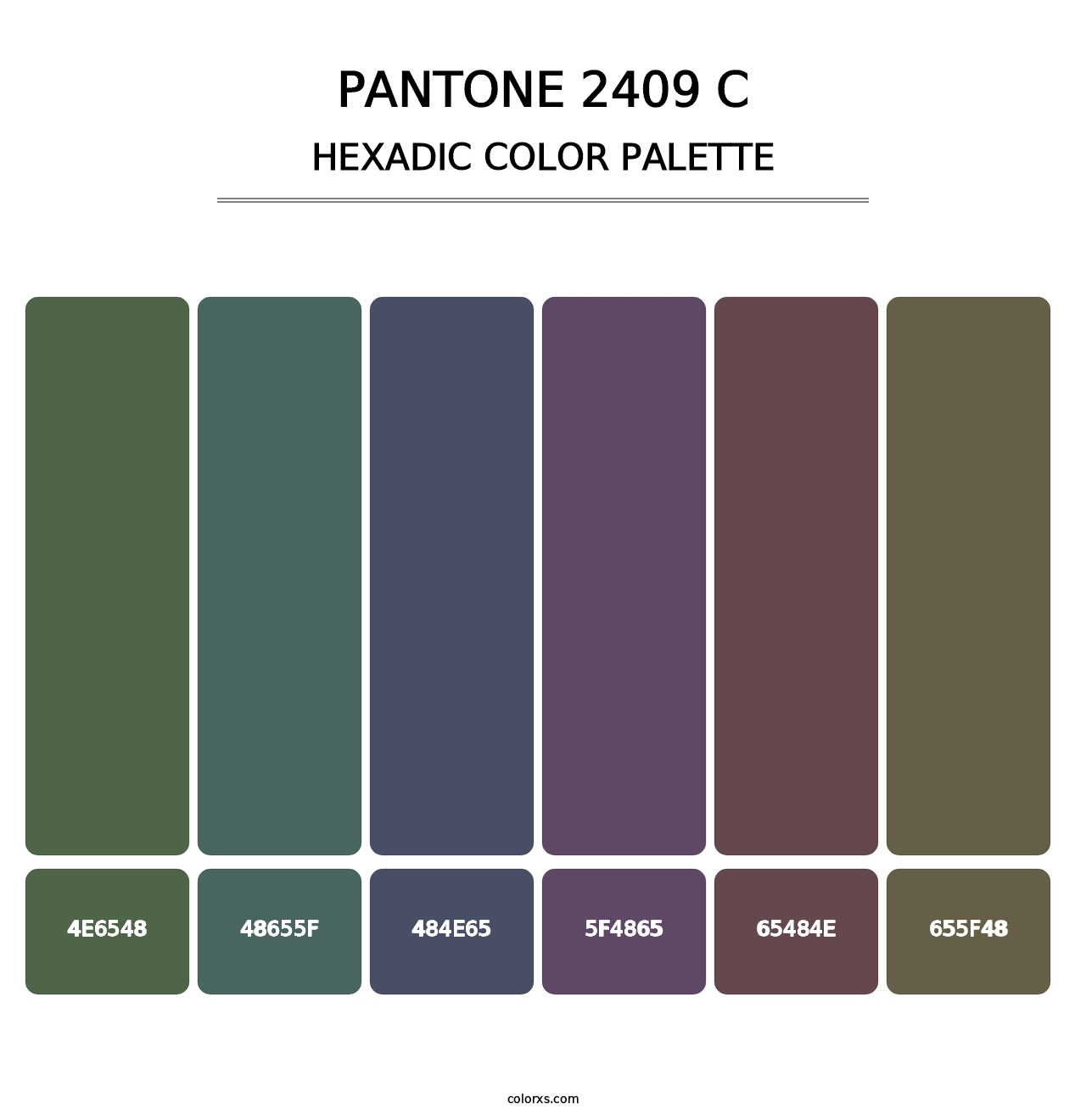 PANTONE 2409 C - Hexadic Color Palette