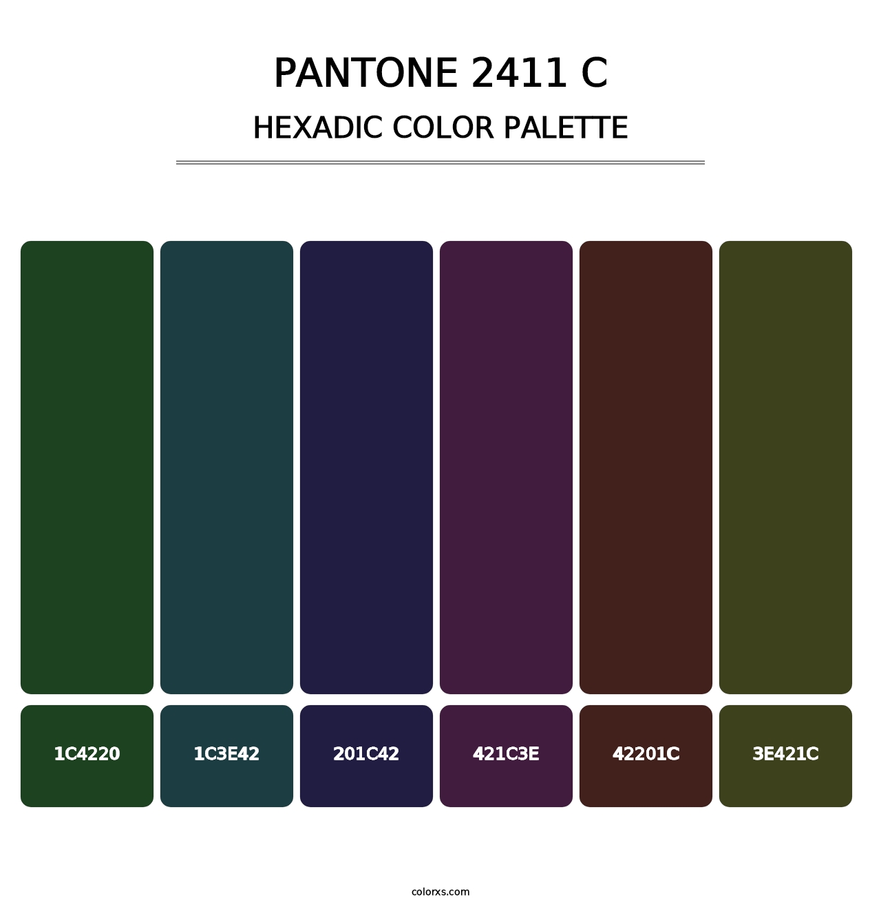 PANTONE 2411 C - Hexadic Color Palette