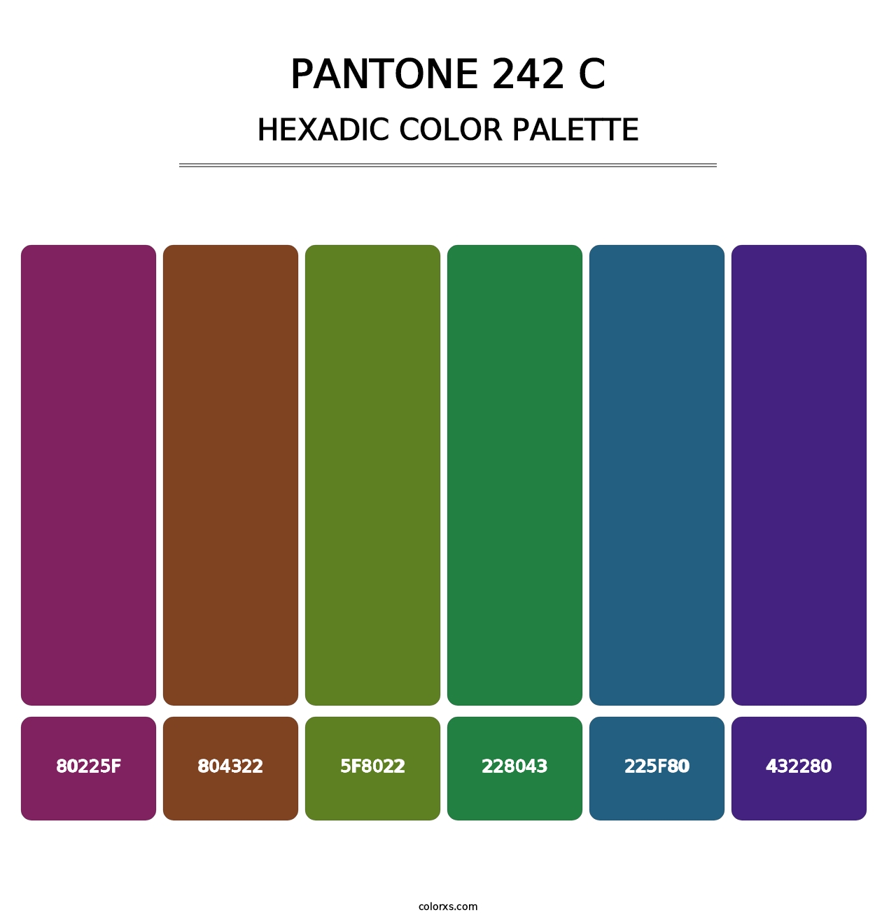 PANTONE 242 C - Hexadic Color Palette