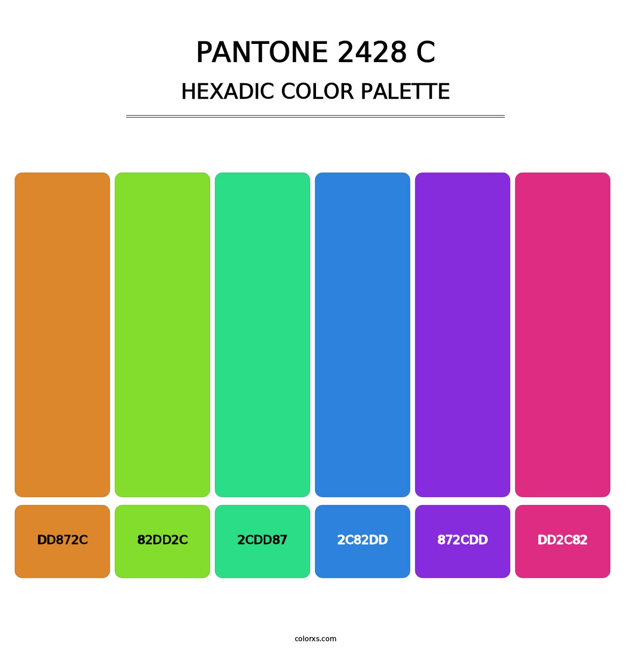 PANTONE 2428 C - Hexadic Color Palette