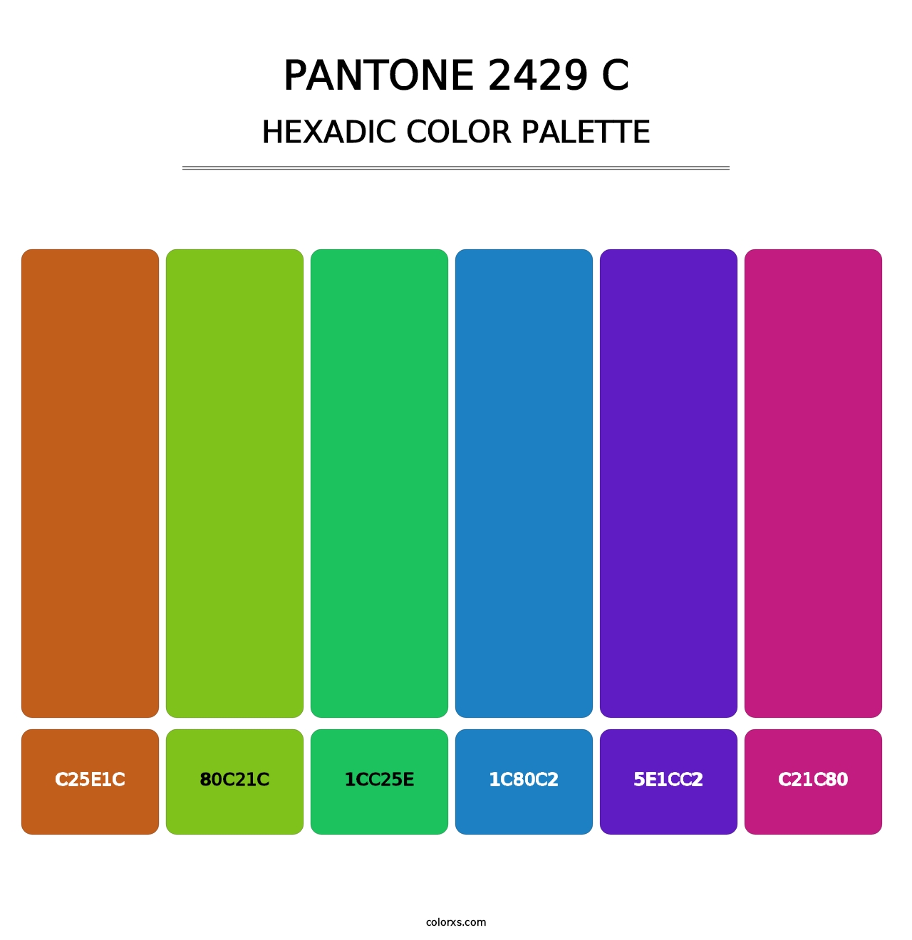 PANTONE 2429 C - Hexadic Color Palette