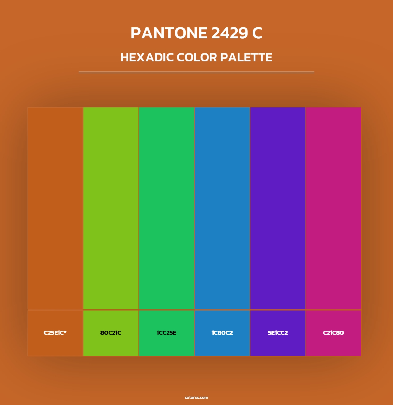 PANTONE 2429 C - Hexadic Color Palette