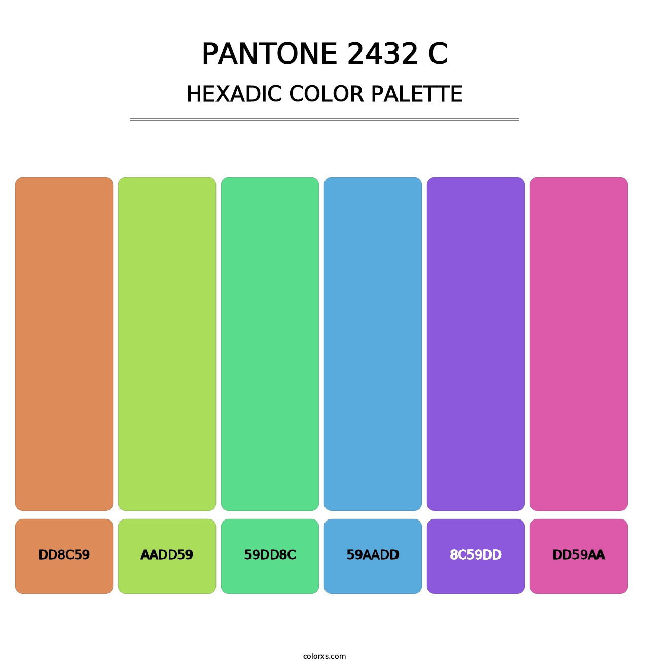 PANTONE 2432 C - Hexadic Color Palette