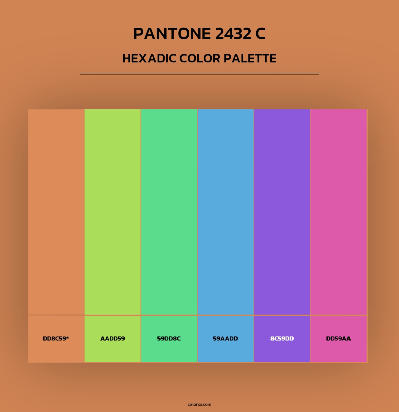PANTONE 2432 C - Hexadic Color Palette