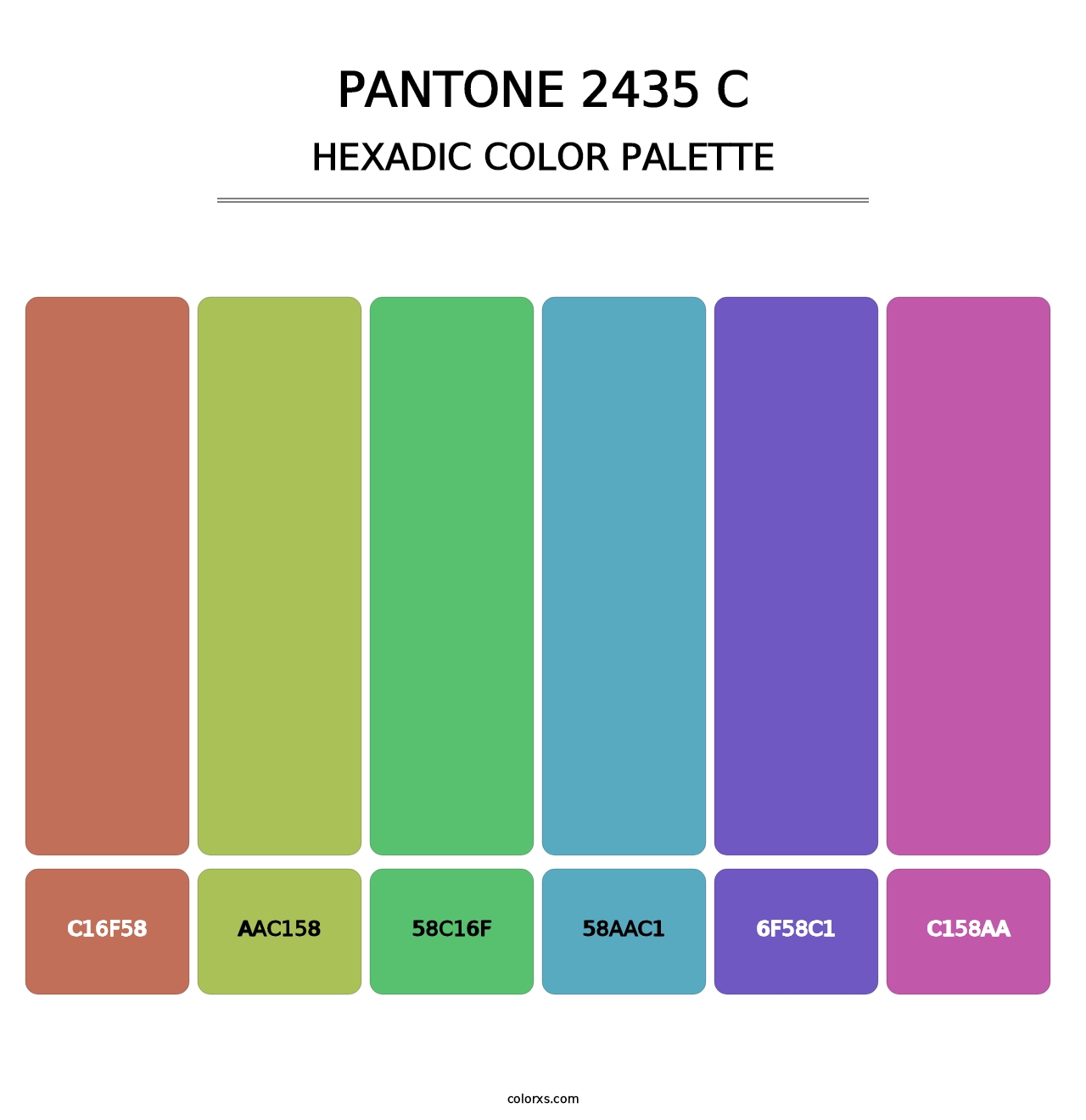 PANTONE 2435 C - Hexadic Color Palette
