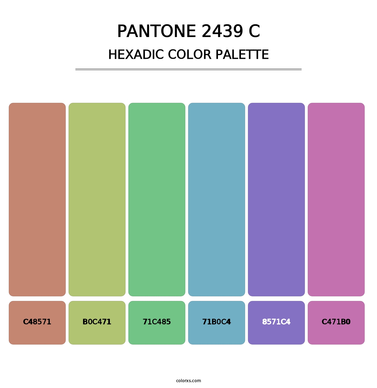 PANTONE 2439 C - Hexadic Color Palette
