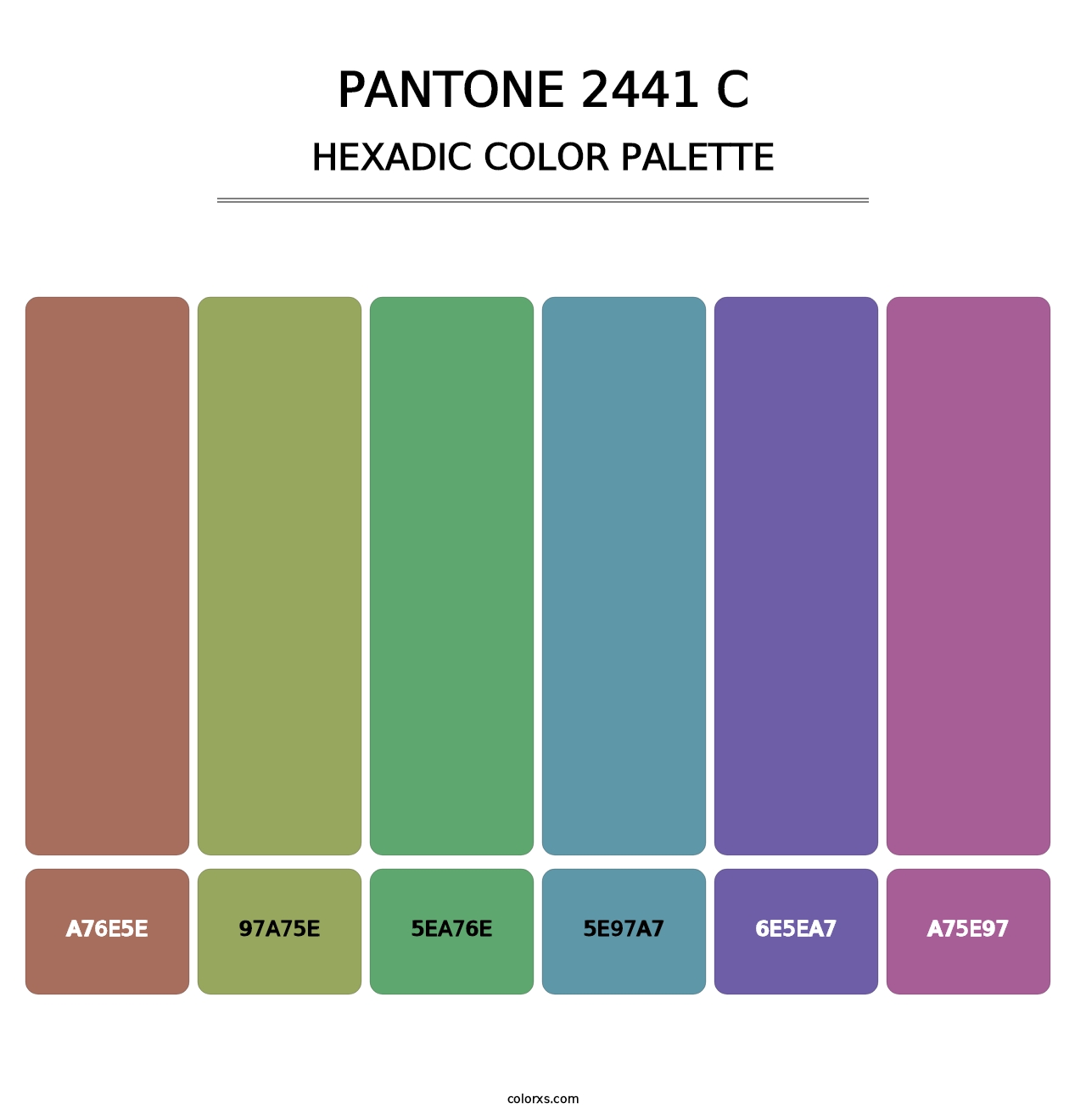 PANTONE 2441 C - Hexadic Color Palette