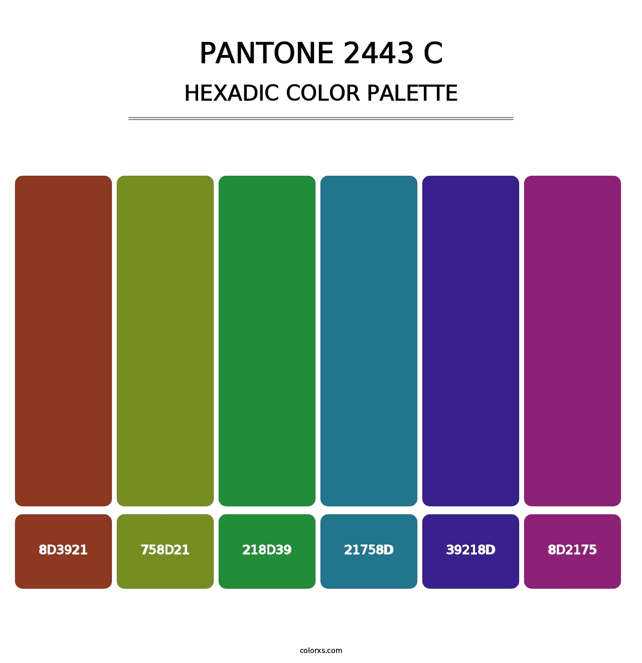 PANTONE 2443 C - Hexadic Color Palette