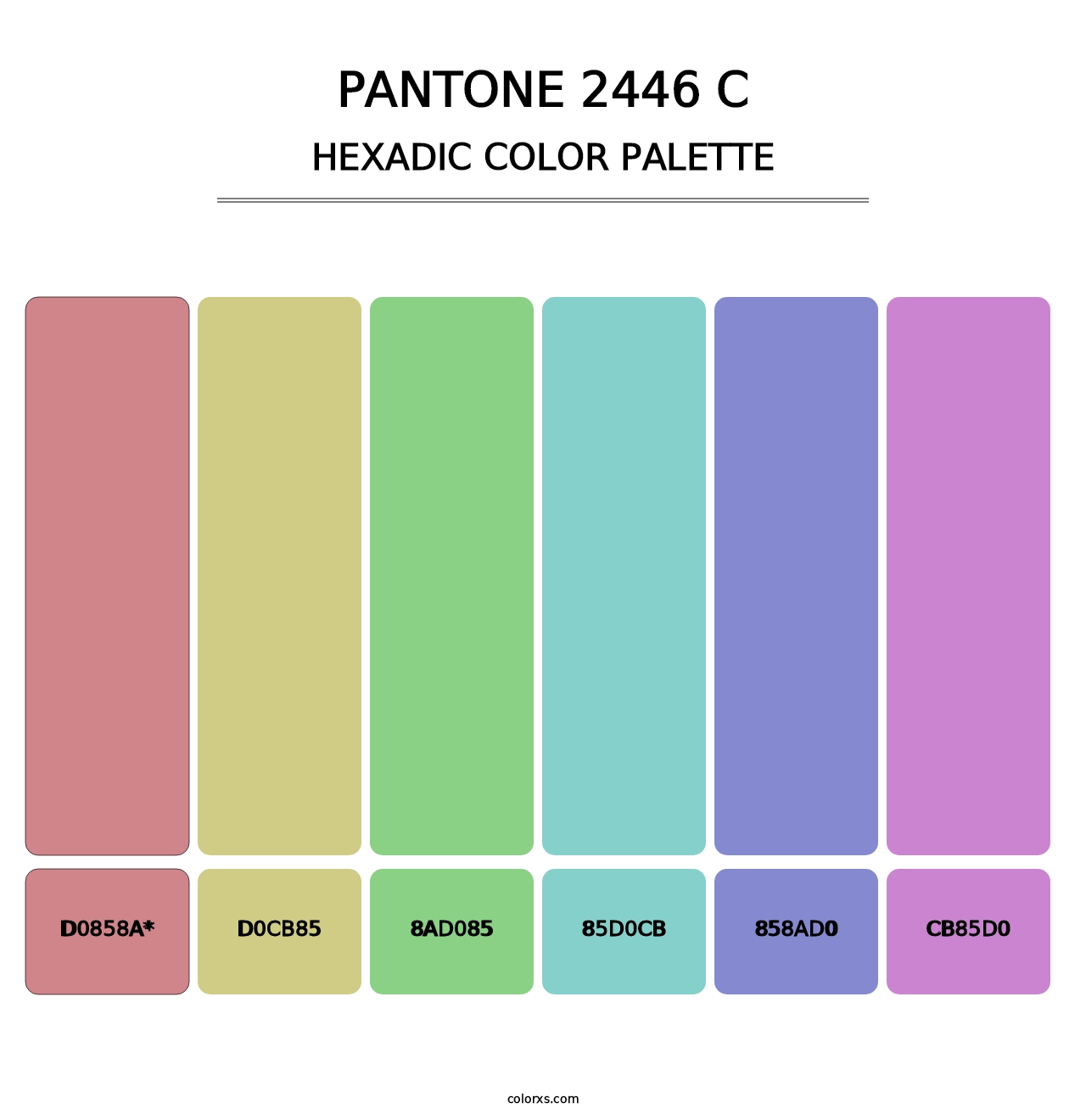 PANTONE 2446 C - Hexadic Color Palette