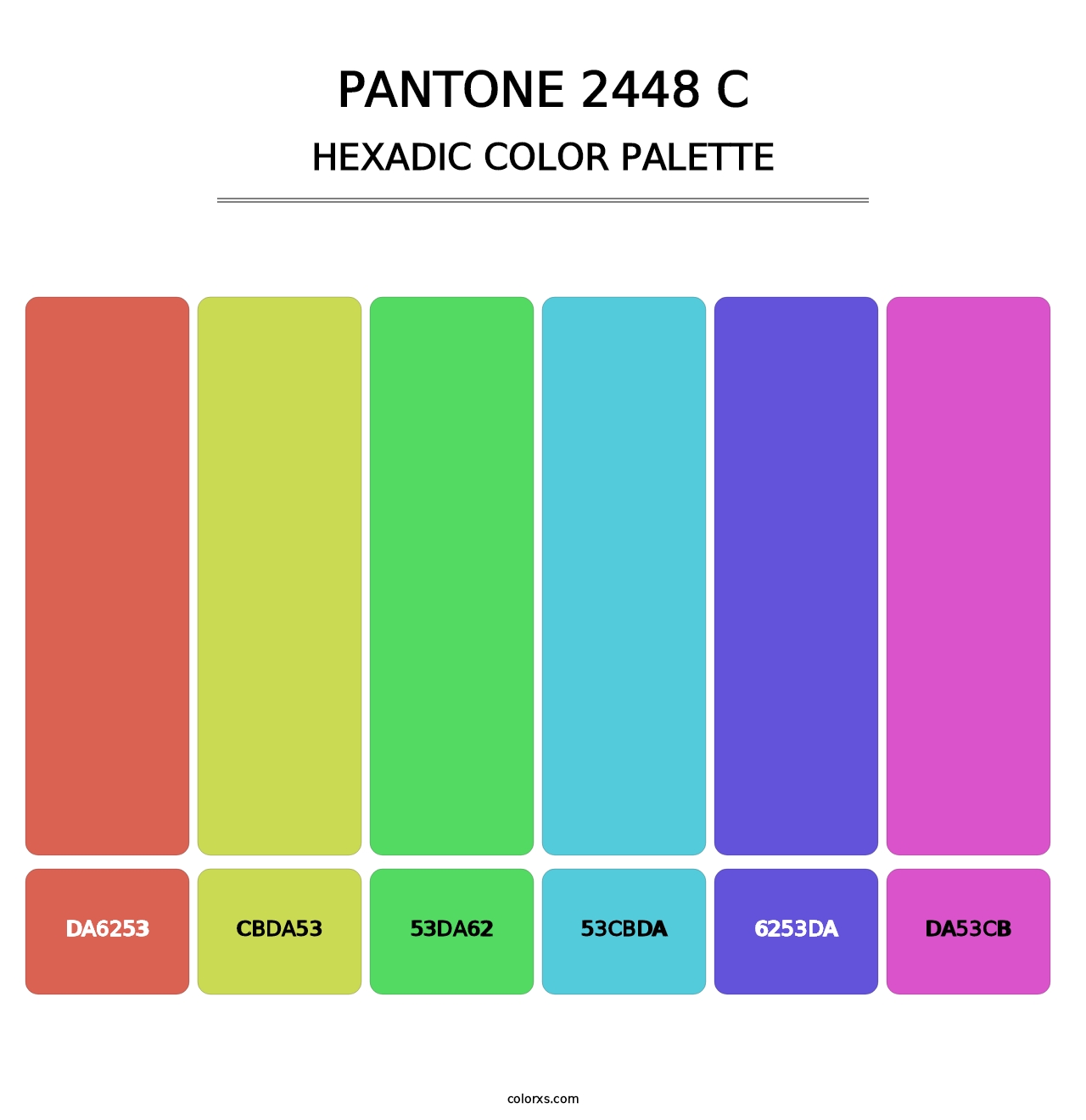 PANTONE 2448 C - Hexadic Color Palette
