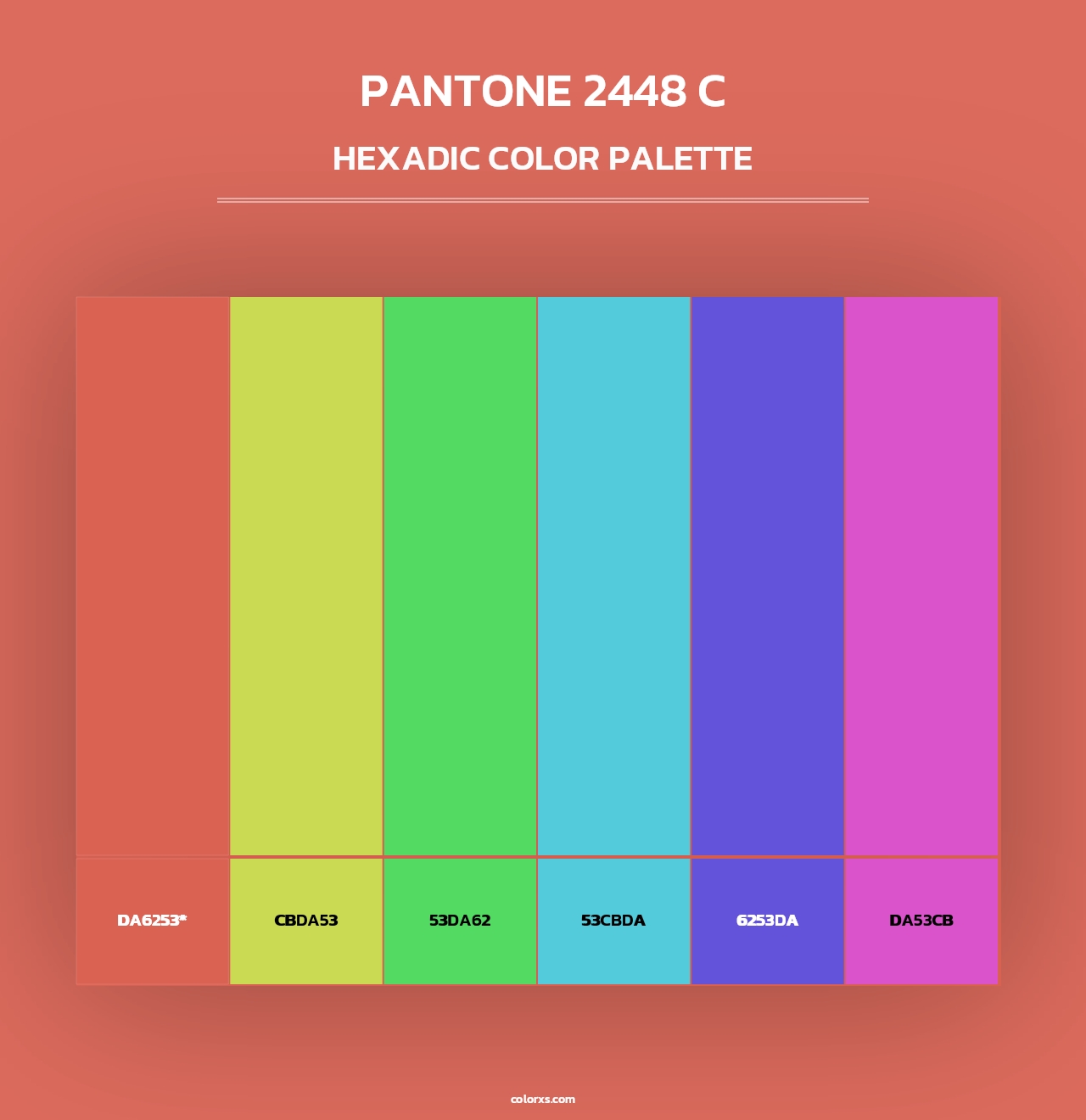PANTONE 2448 C - Hexadic Color Palette