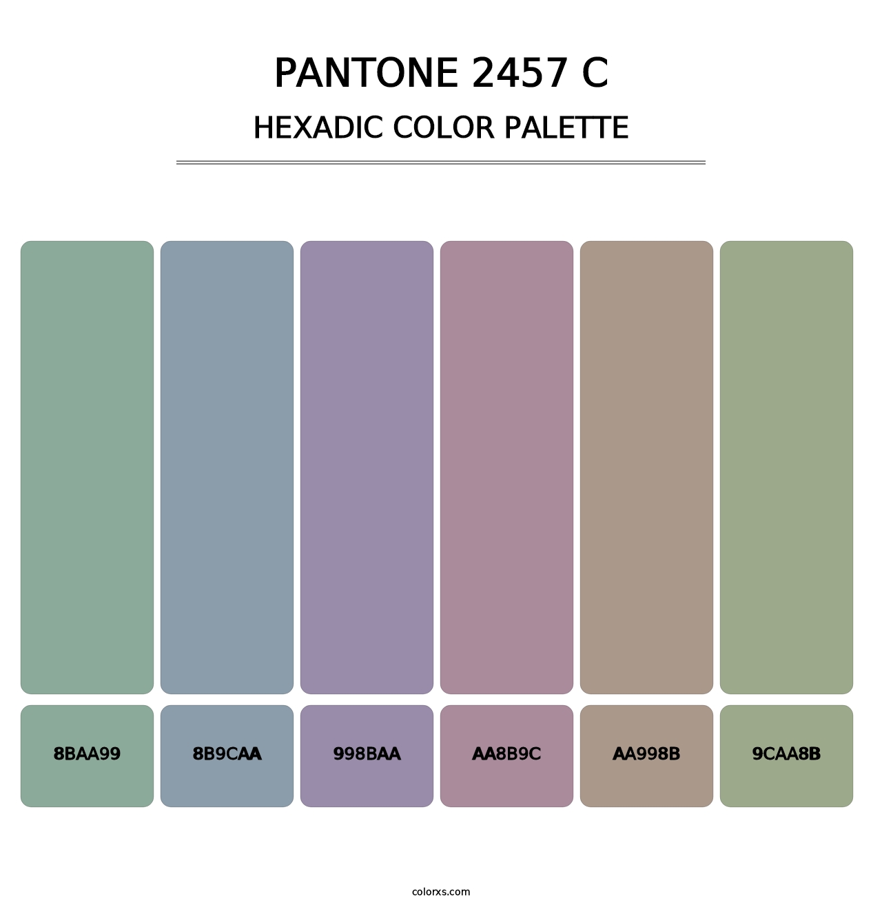 PANTONE 2457 C - Hexadic Color Palette