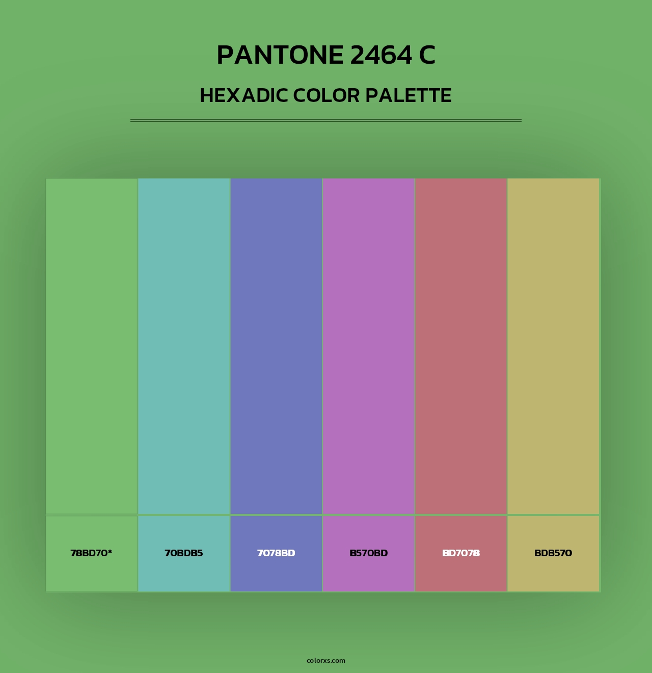 PANTONE 2464 C - Hexadic Color Palette