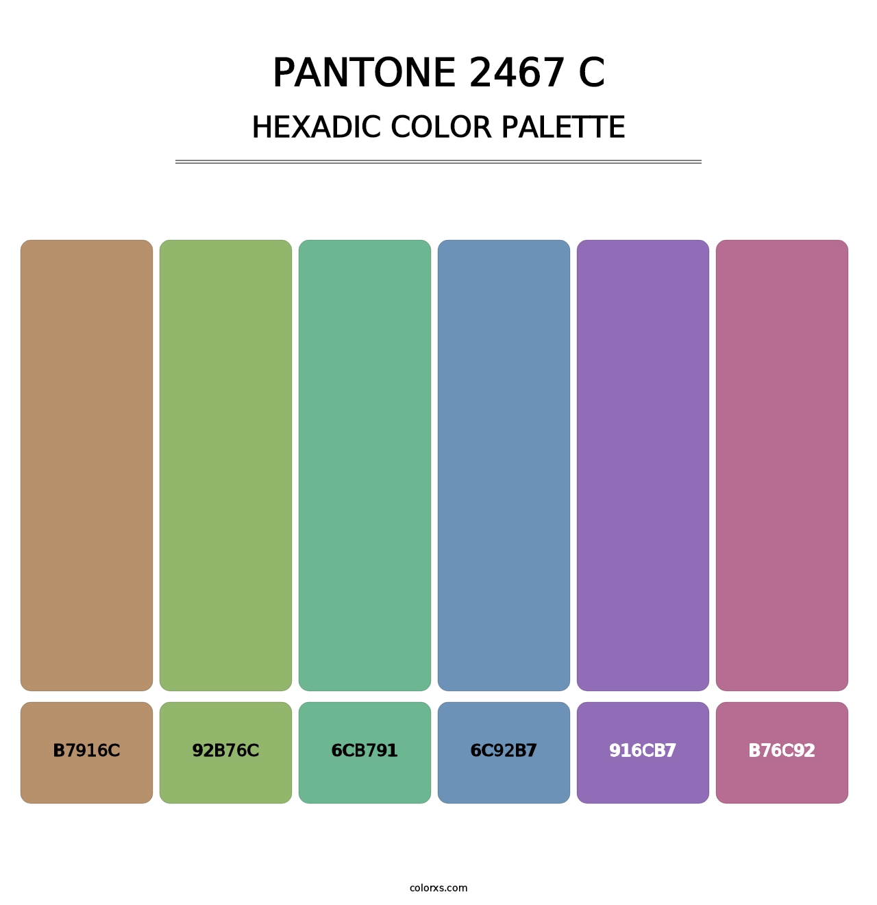PANTONE 2467 C - Hexadic Color Palette