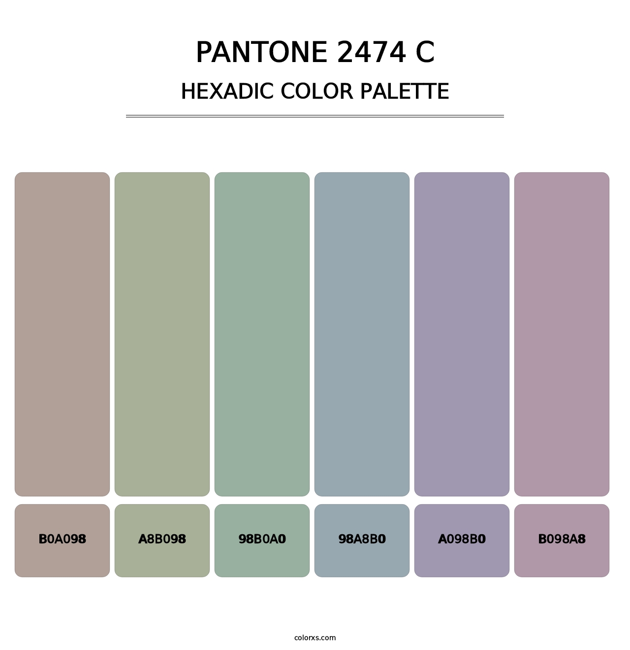 PANTONE 2474 C - Hexadic Color Palette