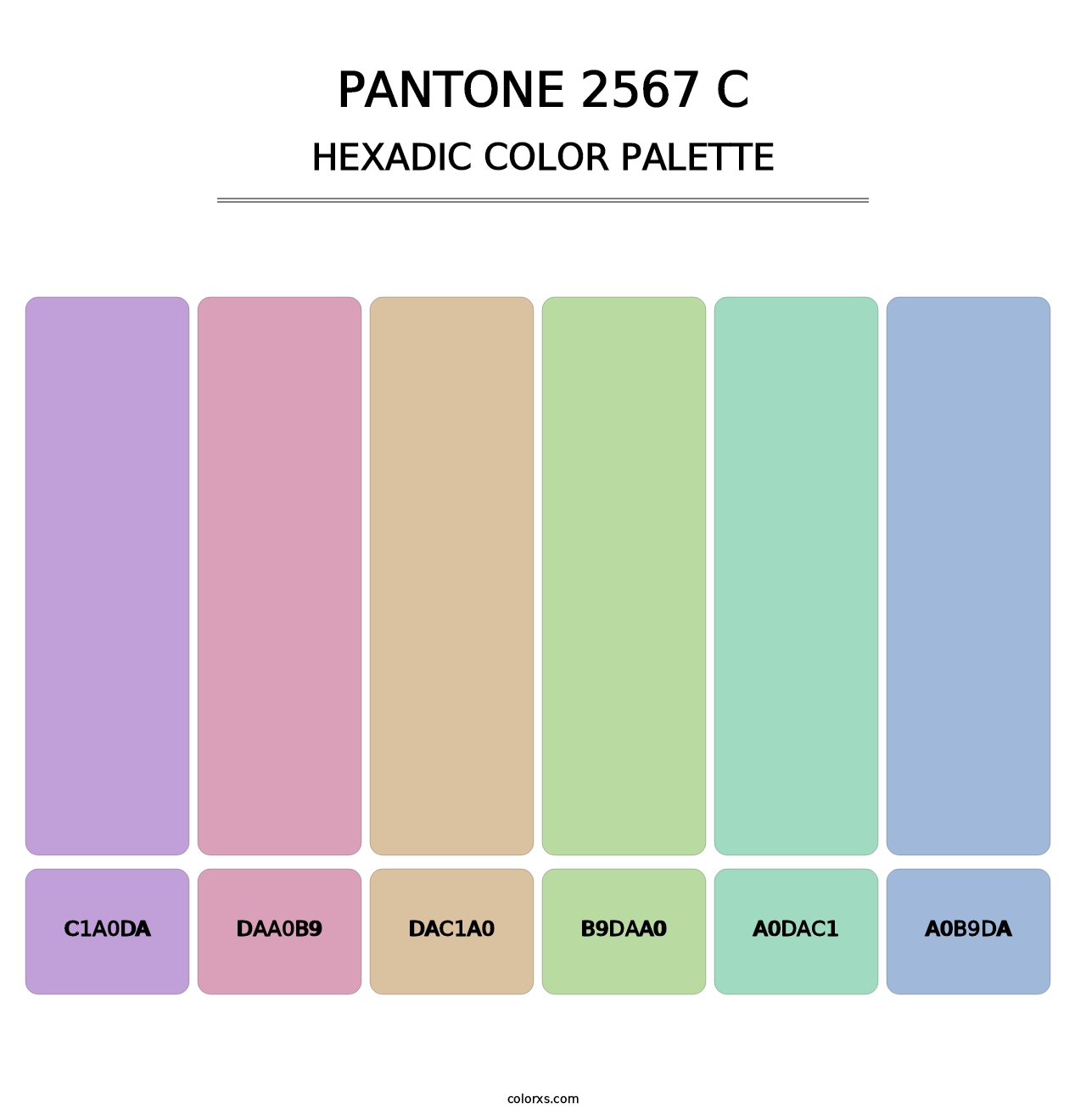 PANTONE 2567 C - Hexadic Color Palette