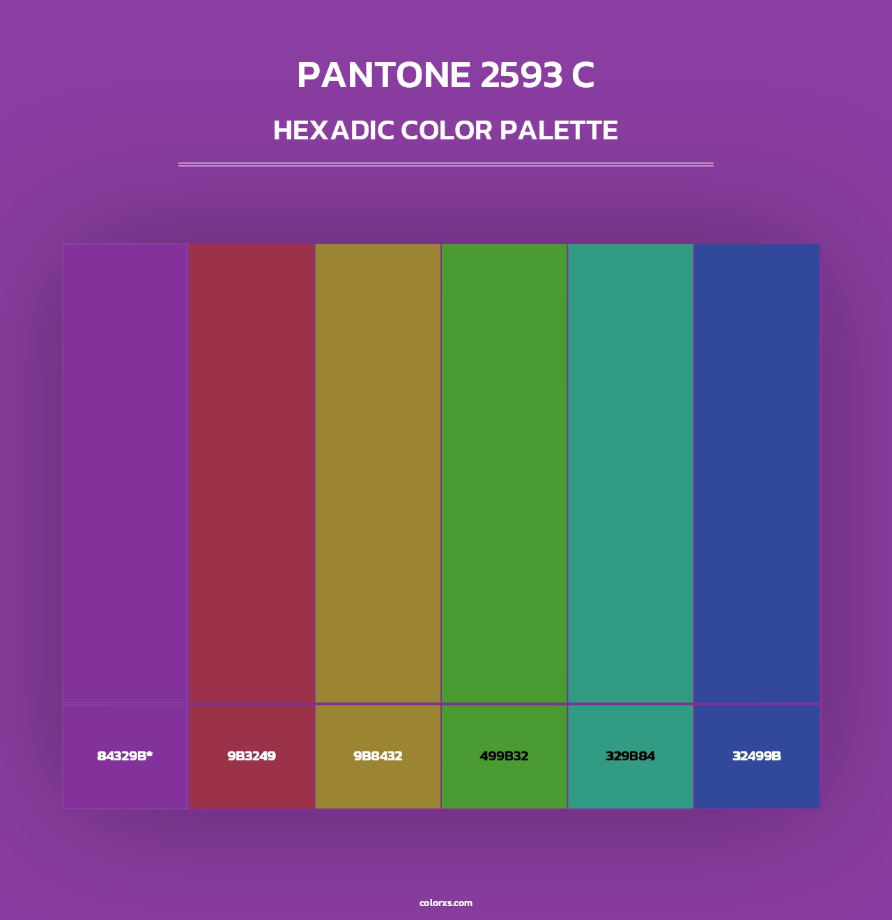 PANTONE 2593 C - Hexadic Color Palette