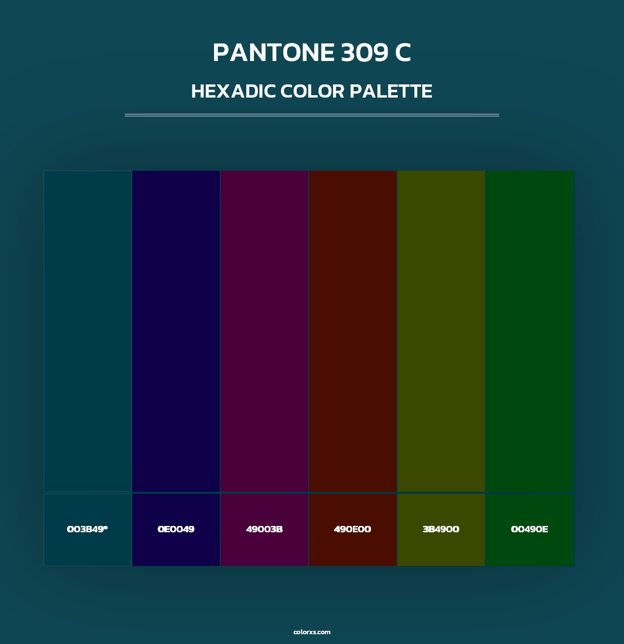 PANTONE 309 C - Hexadic Color Palette