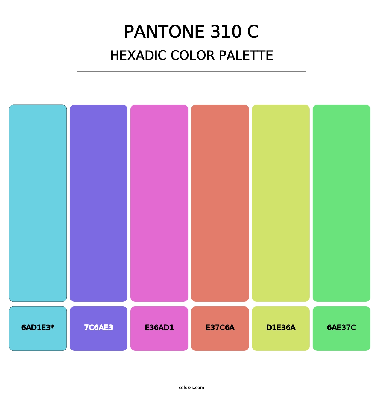 PANTONE 310 C - Hexadic Color Palette
