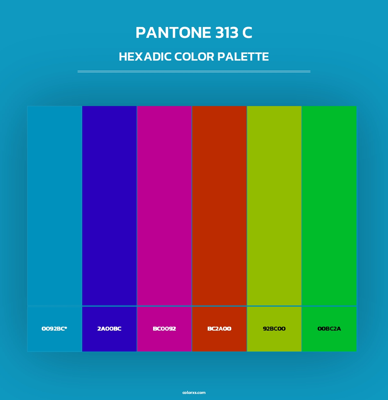 PANTONE 313 C - Hexadic Color Palette