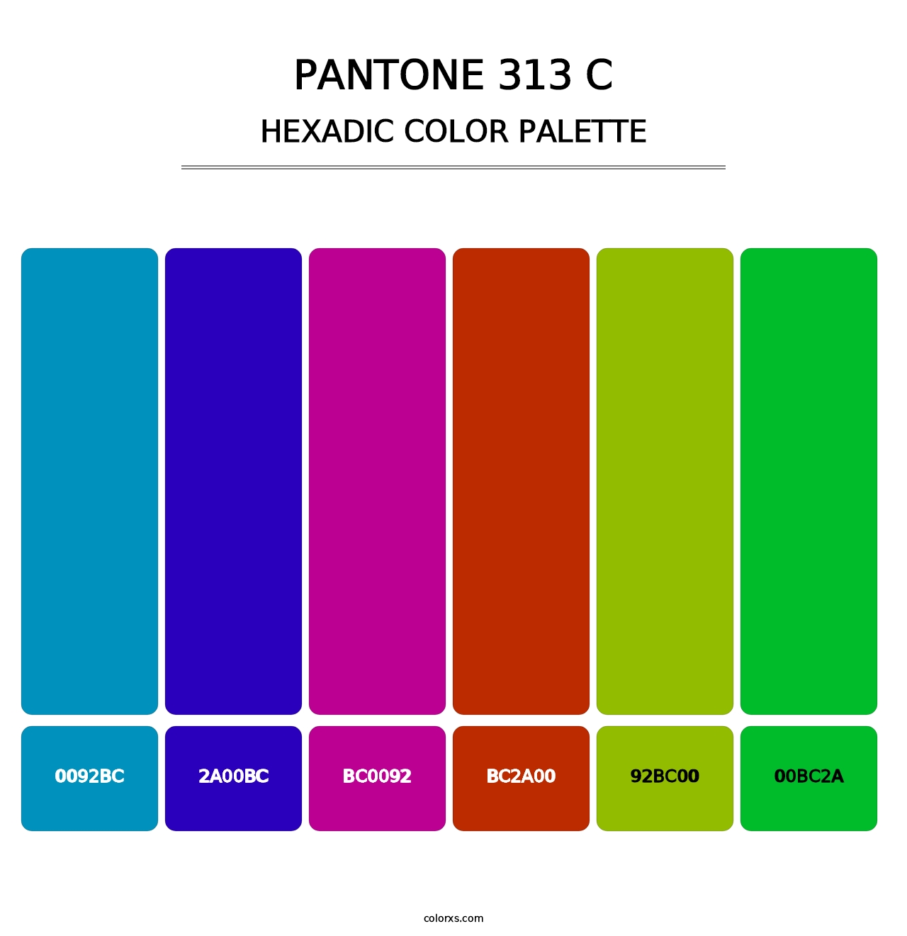 PANTONE 313 C - Hexadic Color Palette