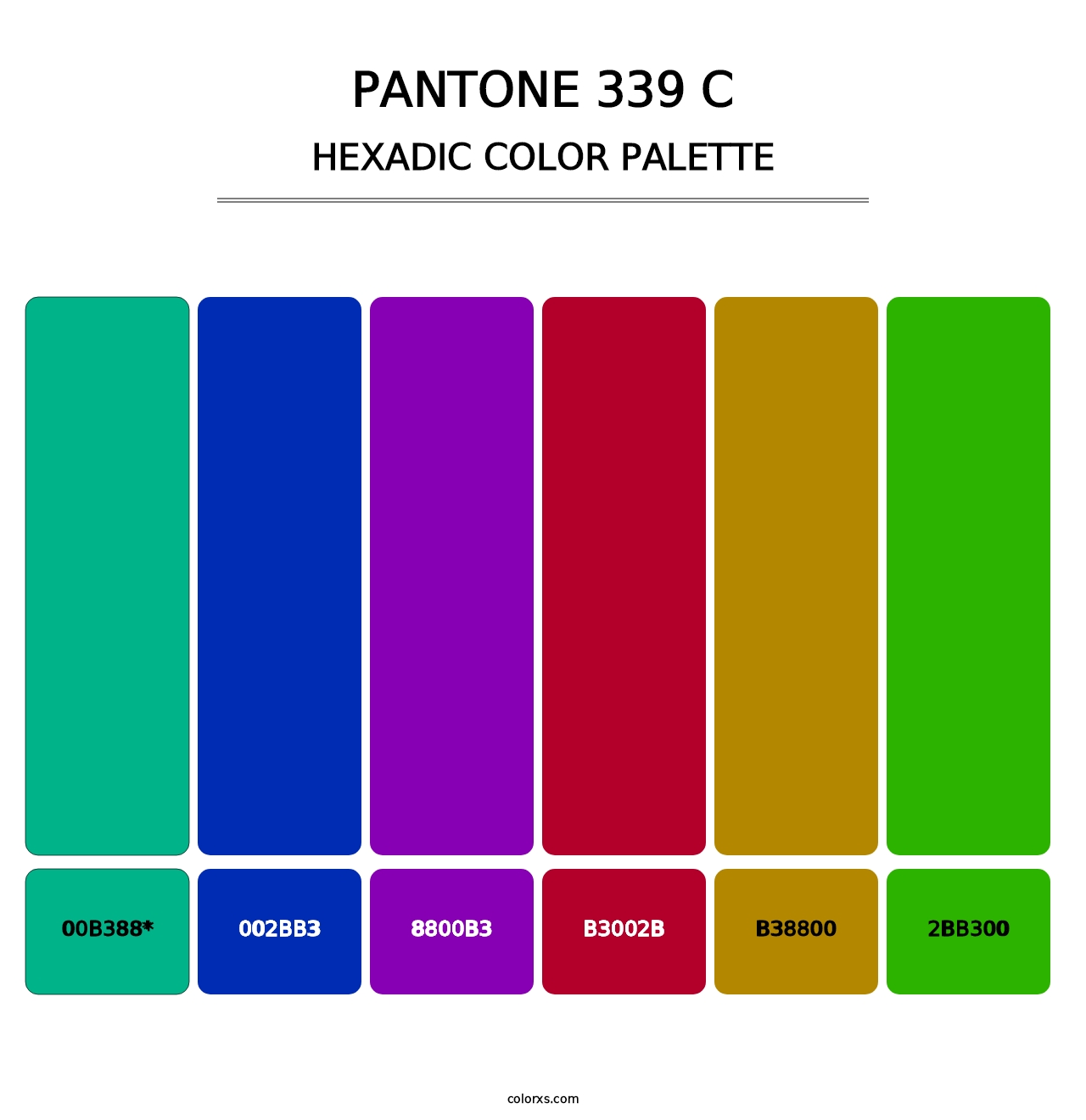 PANTONE 339 C - Hexadic Color Palette