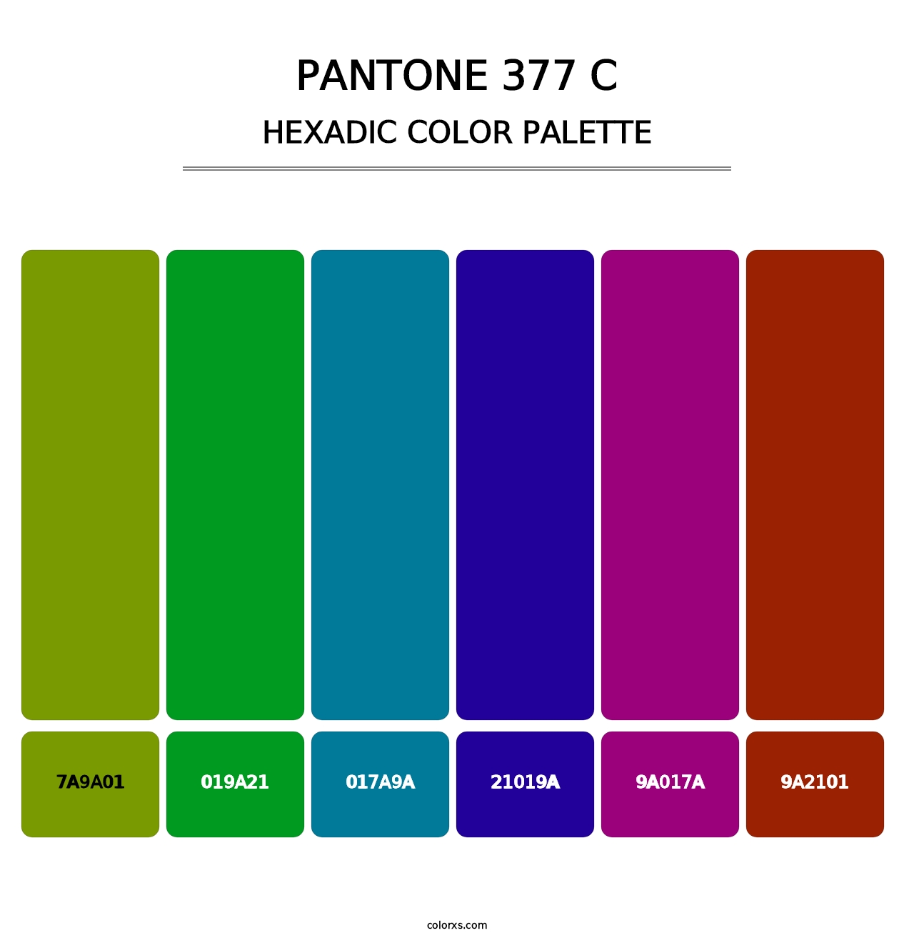 PANTONE 377 C - Hexadic Color Palette