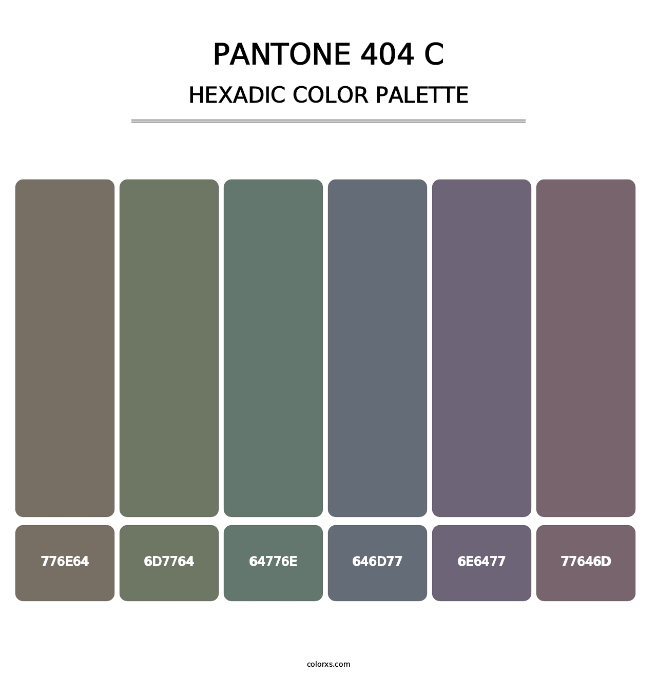 PANTONE 404 C - Hexadic Color Palette