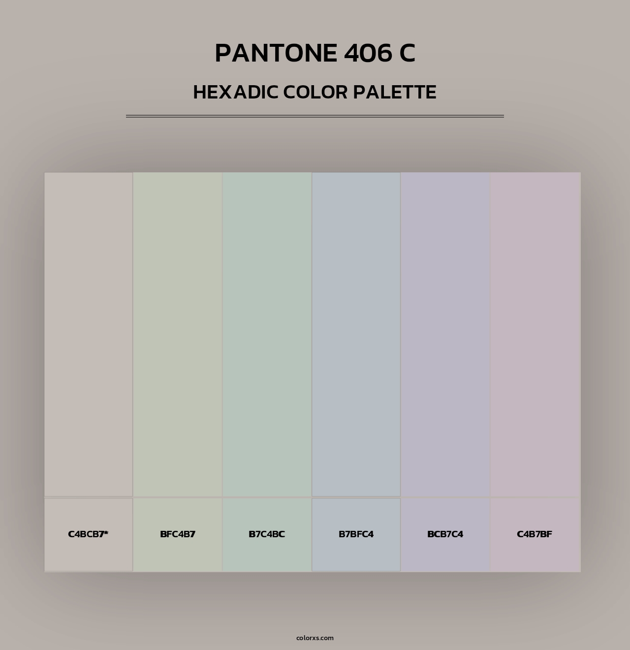 PANTONE 406 C - Hexadic Color Palette