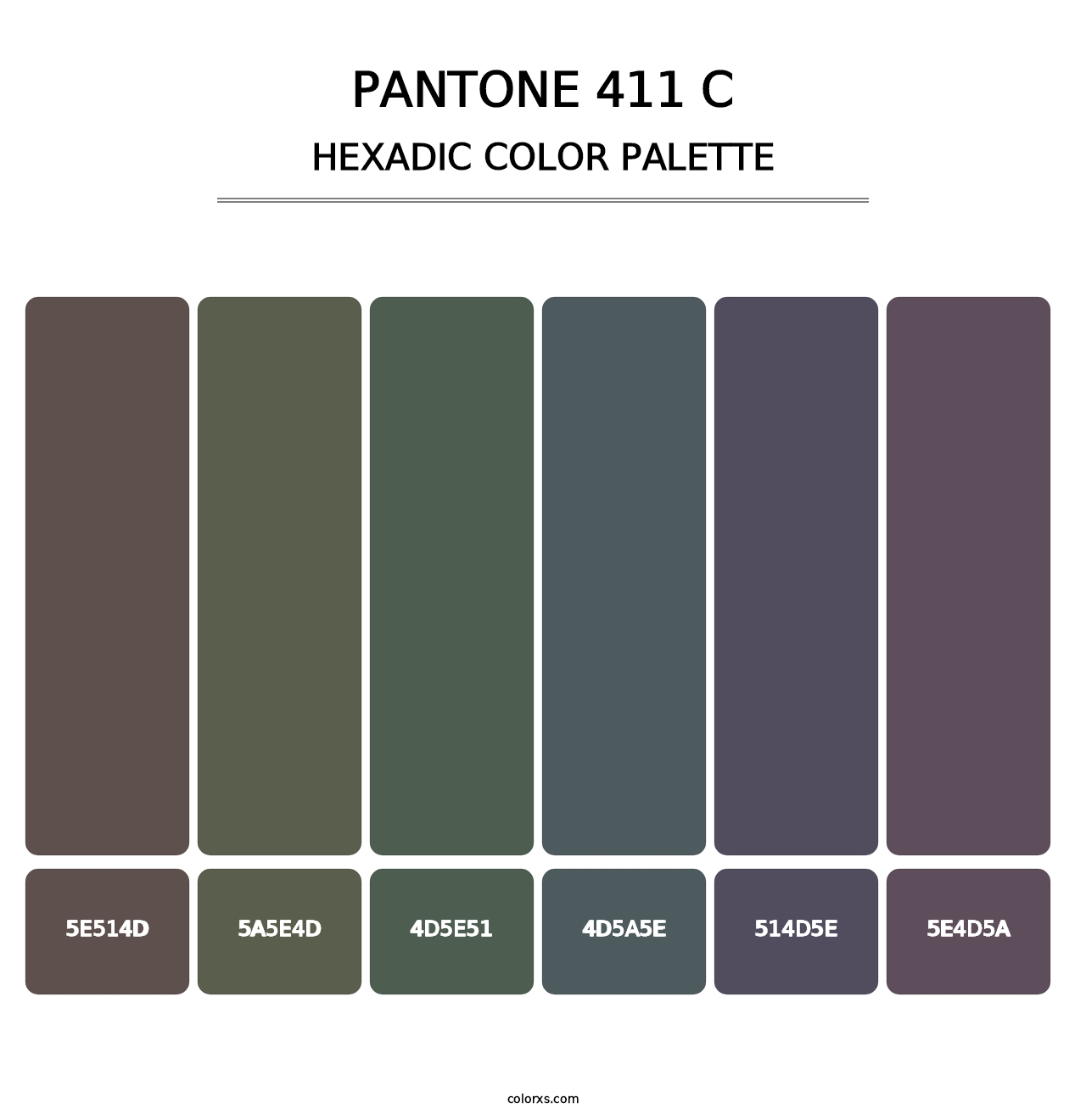 PANTONE 411 C - Hexadic Color Palette