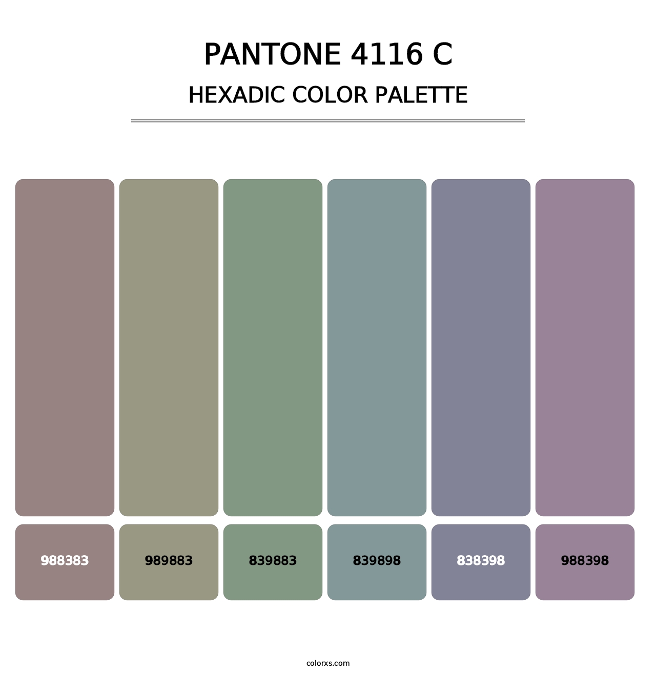 PANTONE 4116 C - Hexadic Color Palette