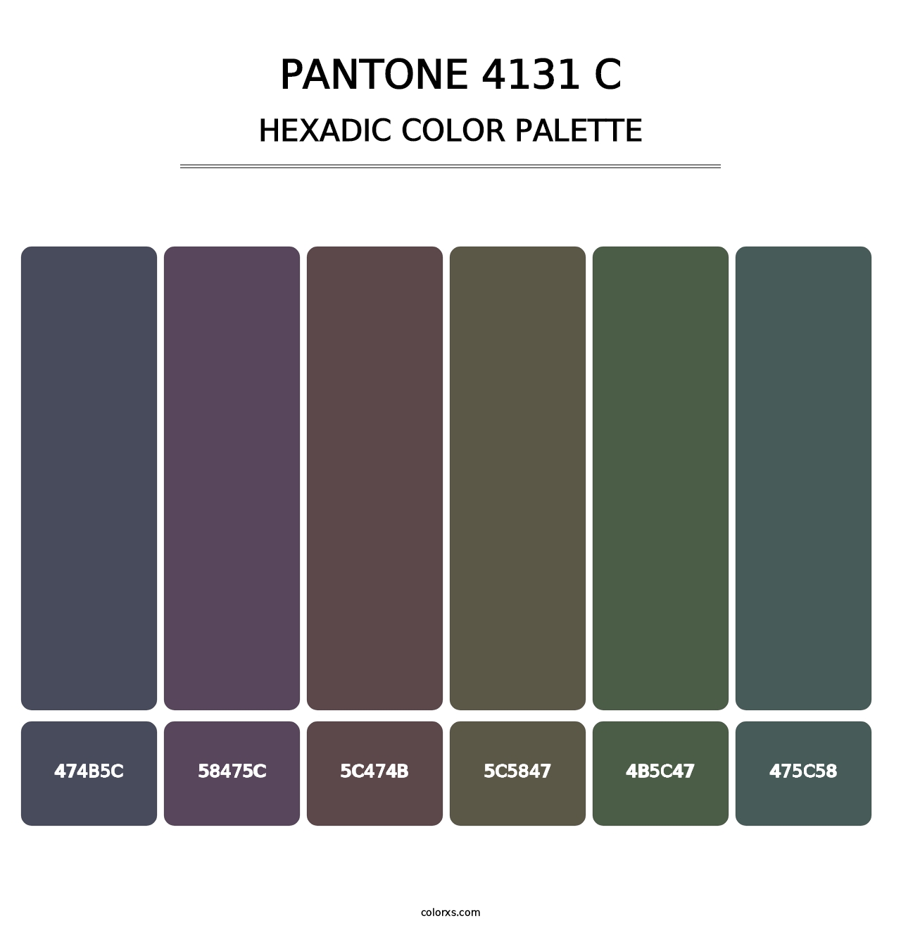 PANTONE 4131 C - Hexadic Color Palette