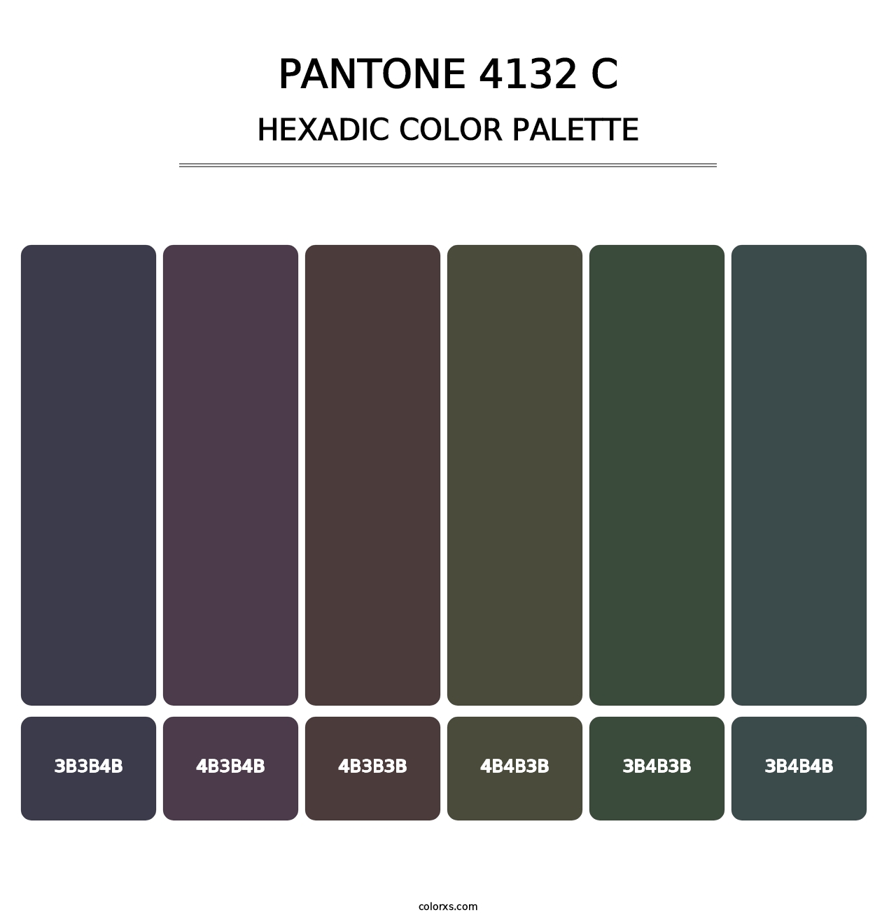 PANTONE 4132 C - Hexadic Color Palette