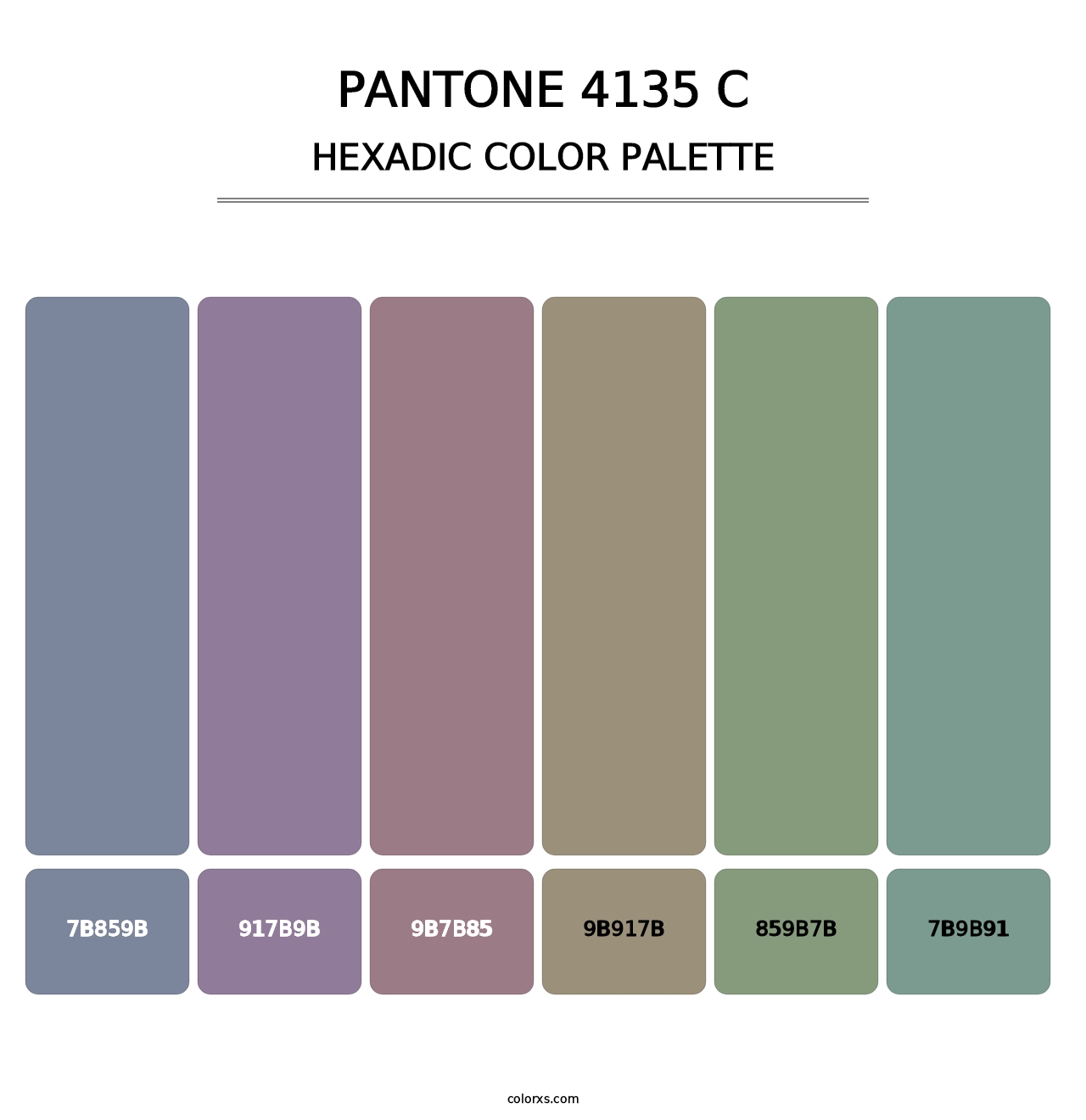 PANTONE 4135 C - Hexadic Color Palette