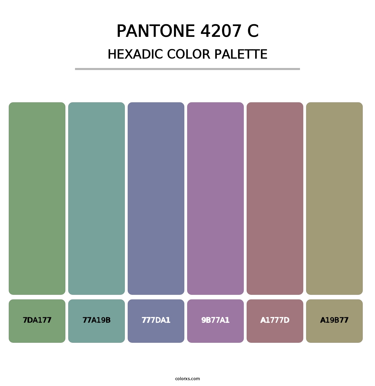 PANTONE 4207 C - Hexadic Color Palette
