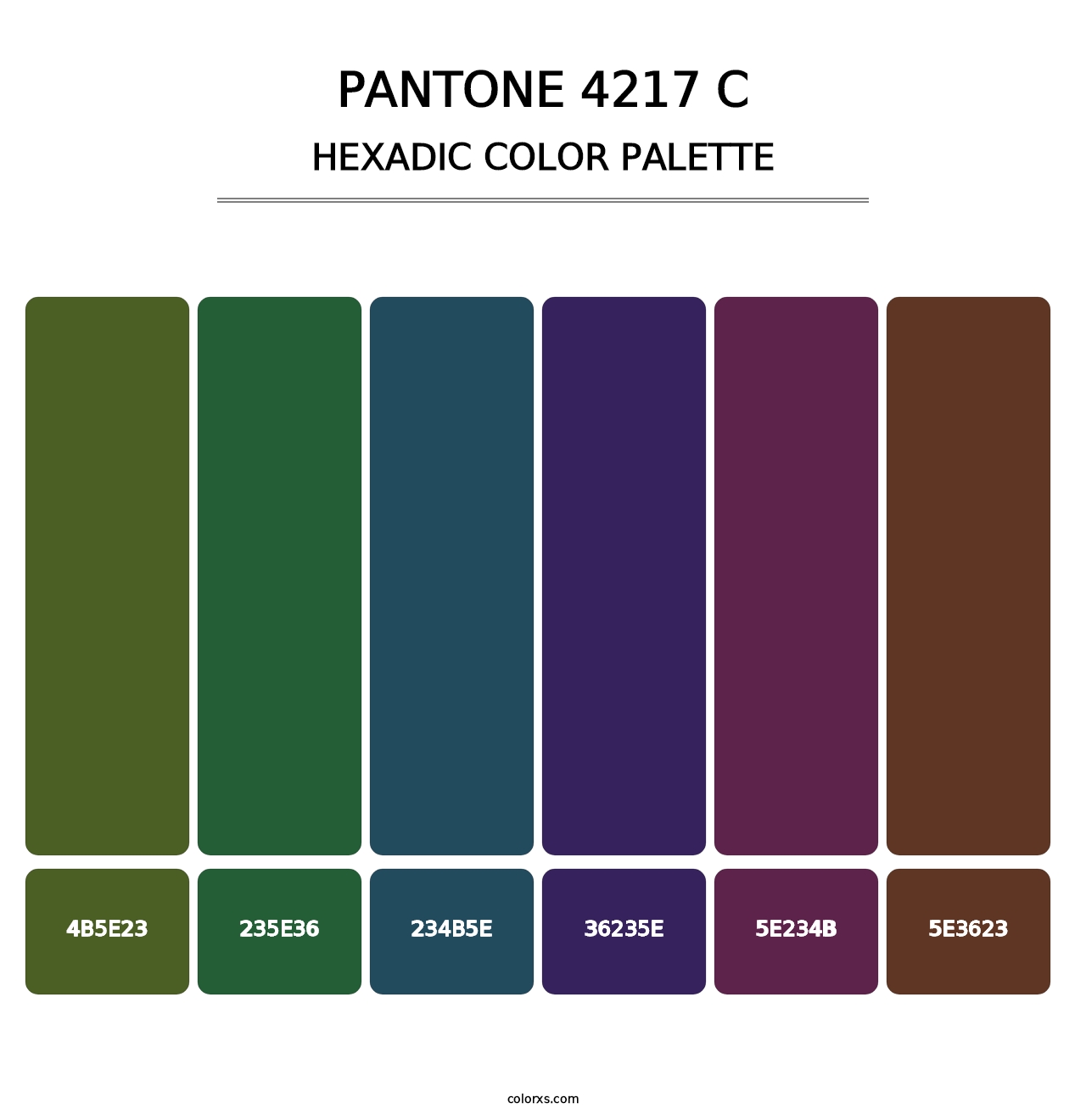 PANTONE 4217 C - Hexadic Color Palette
