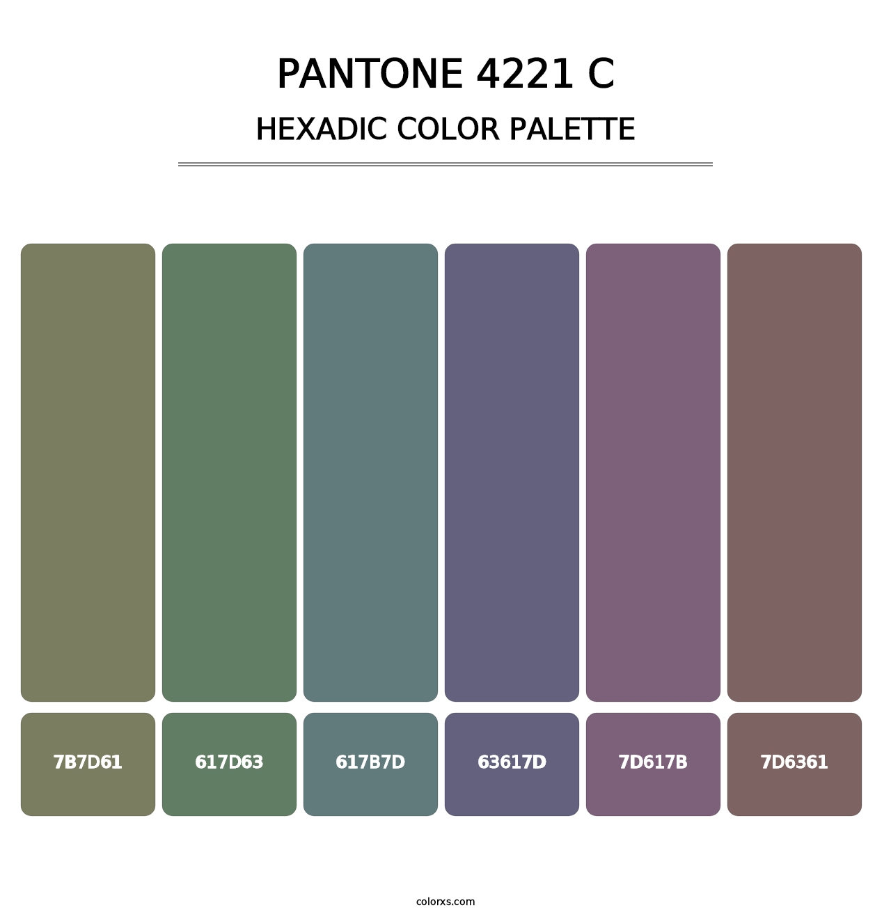 PANTONE 4221 C - Hexadic Color Palette