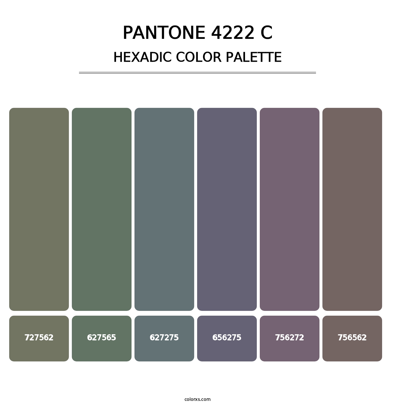 PANTONE 4222 C - Hexadic Color Palette