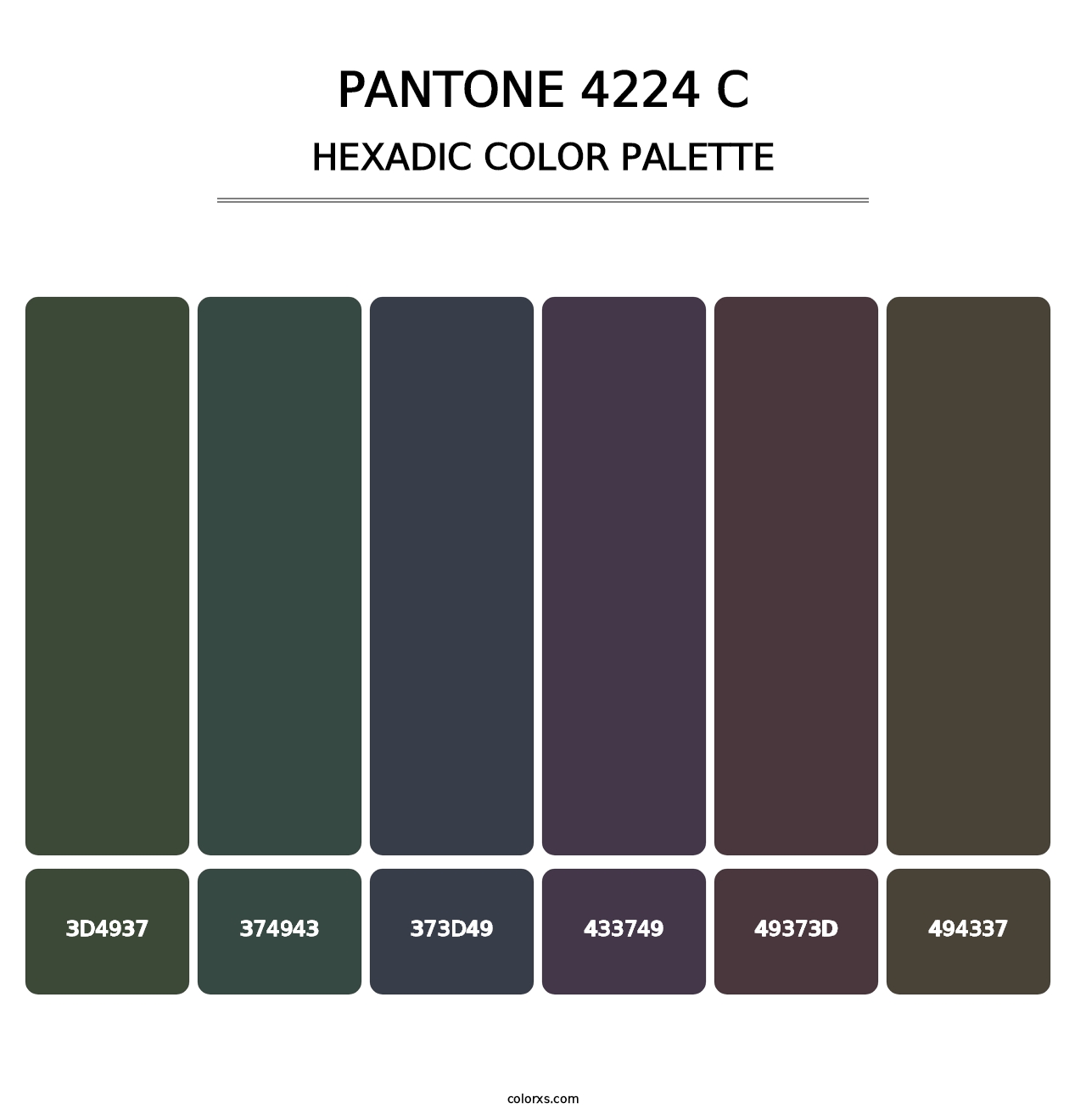 PANTONE 4224 C - Hexadic Color Palette