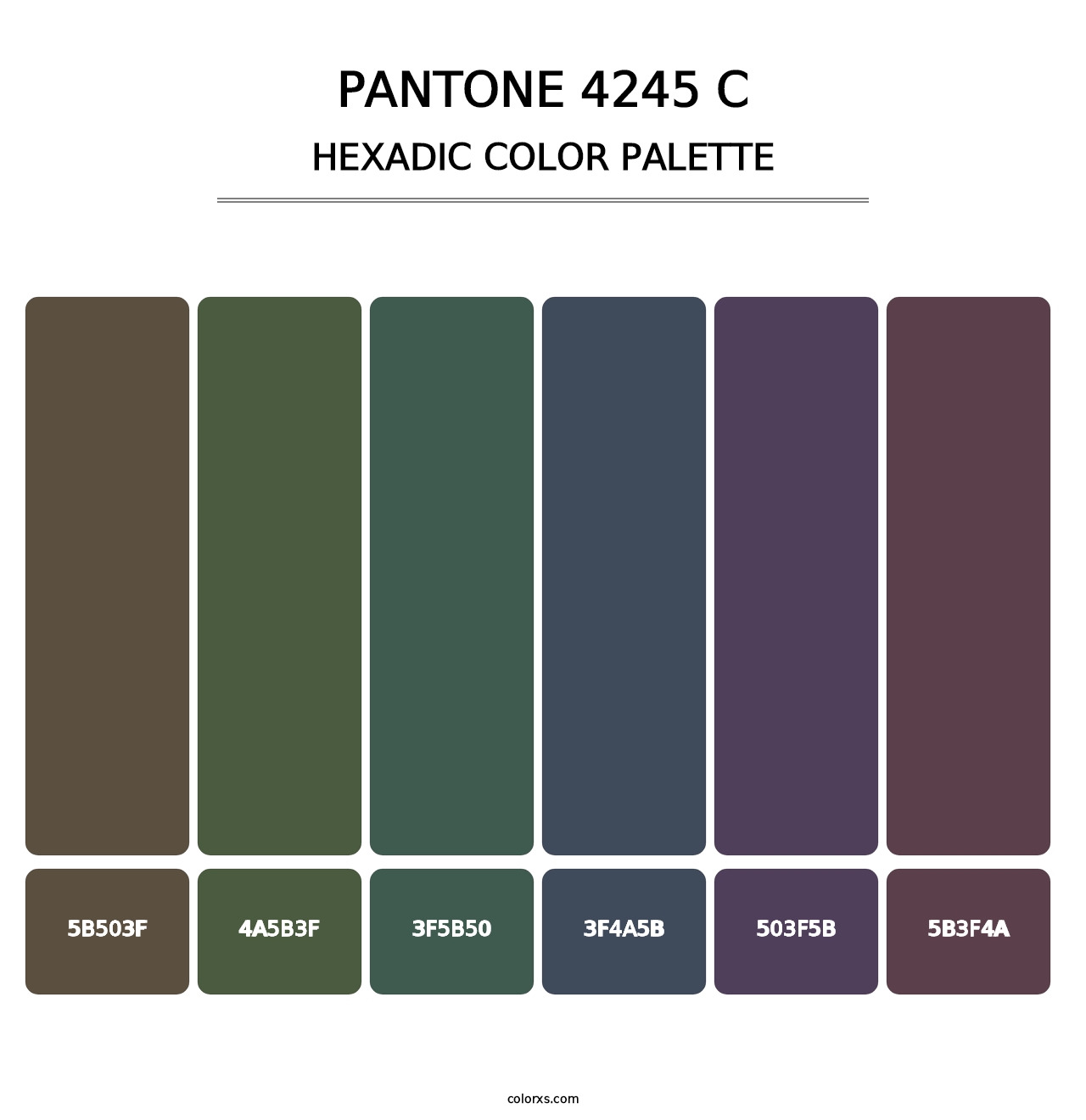 PANTONE 4245 C - Hexadic Color Palette