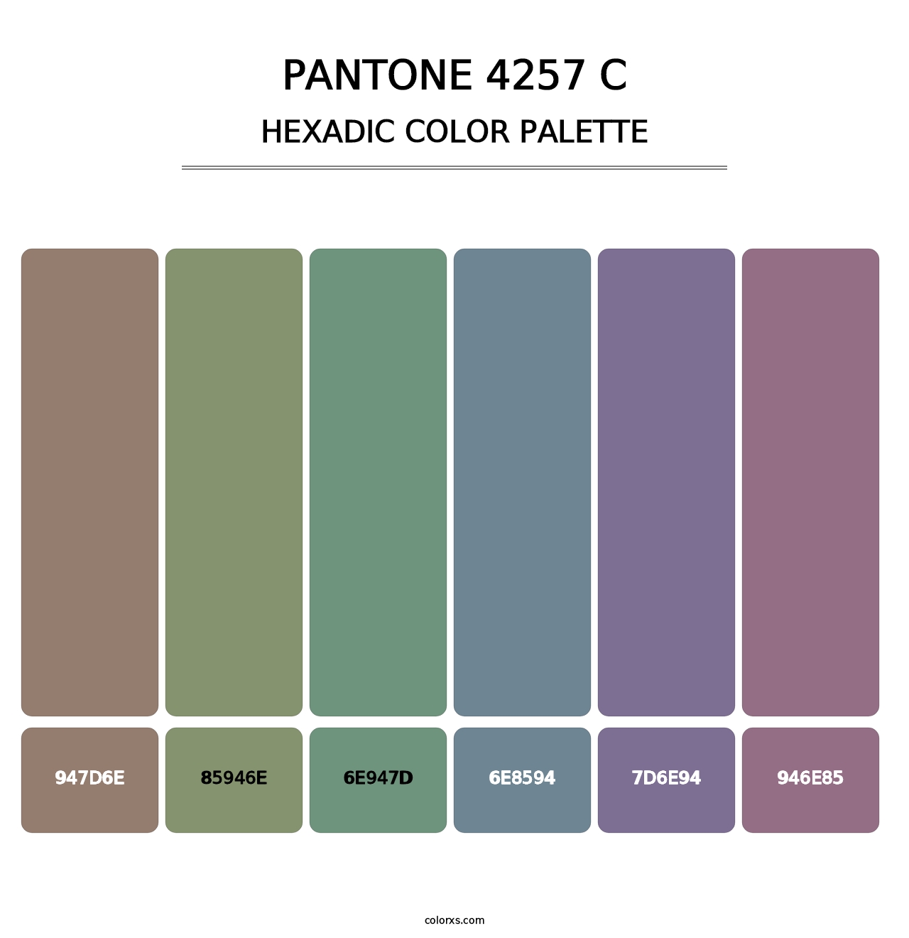 PANTONE 4257 C - Hexadic Color Palette