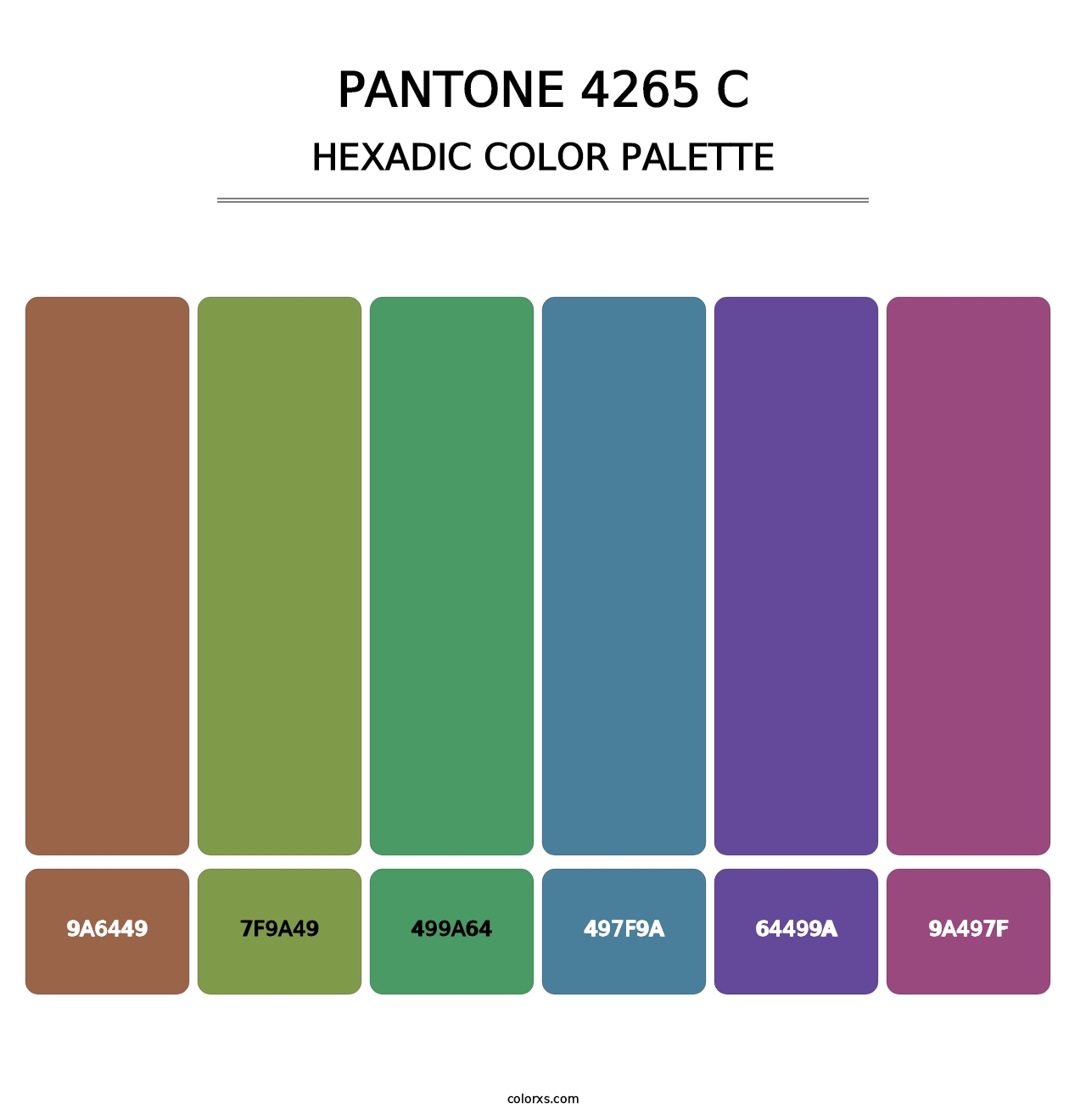 PANTONE 4265 C - Hexadic Color Palette