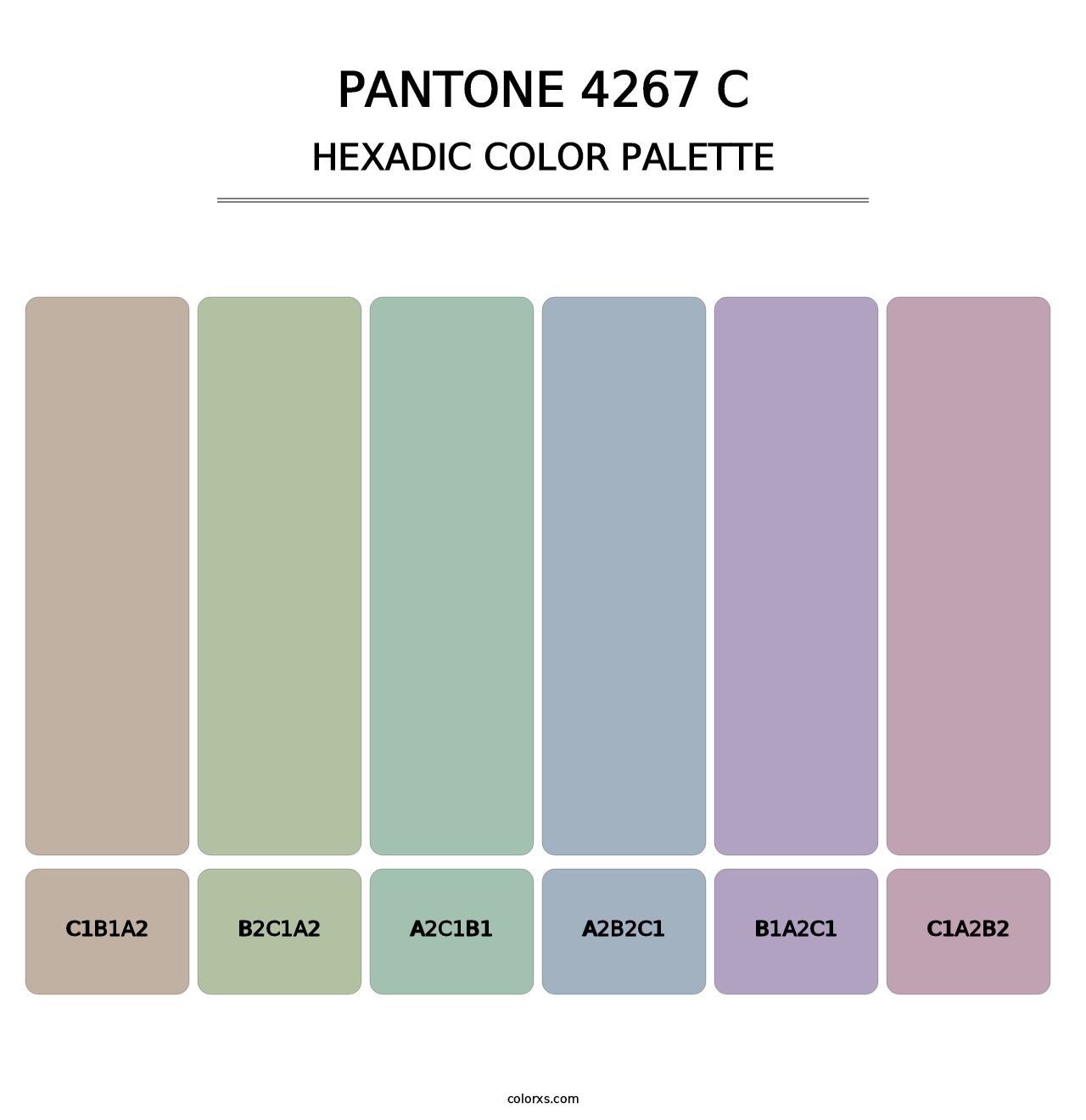 PANTONE 4267 C - Hexadic Color Palette