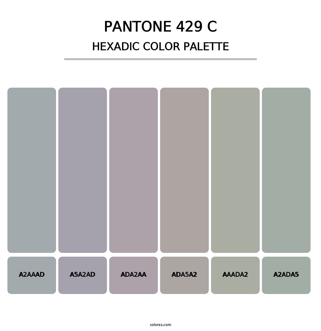 PANTONE 429 C - Hexadic Color Palette