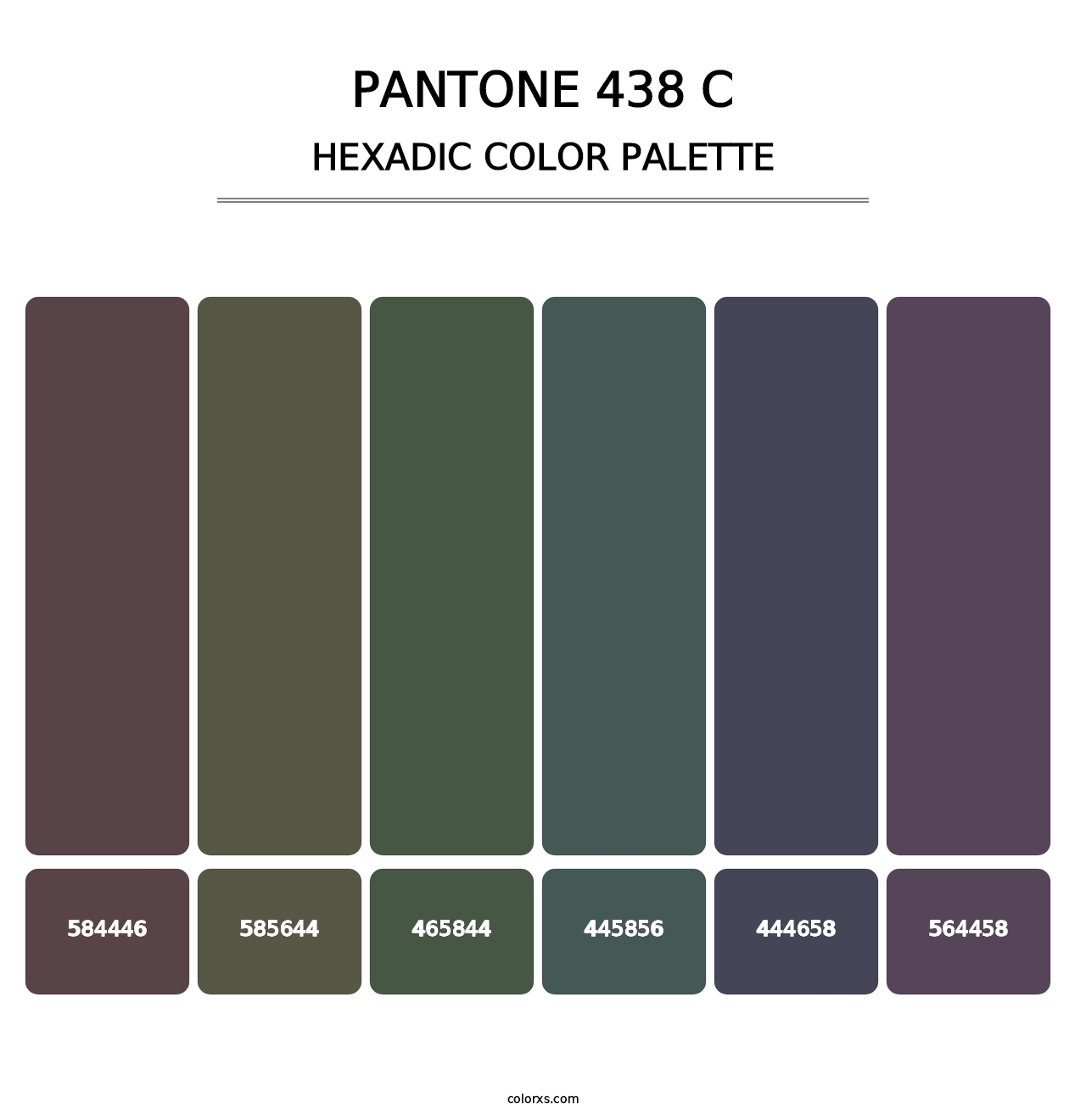 PANTONE 438 C - Hexadic Color Palette