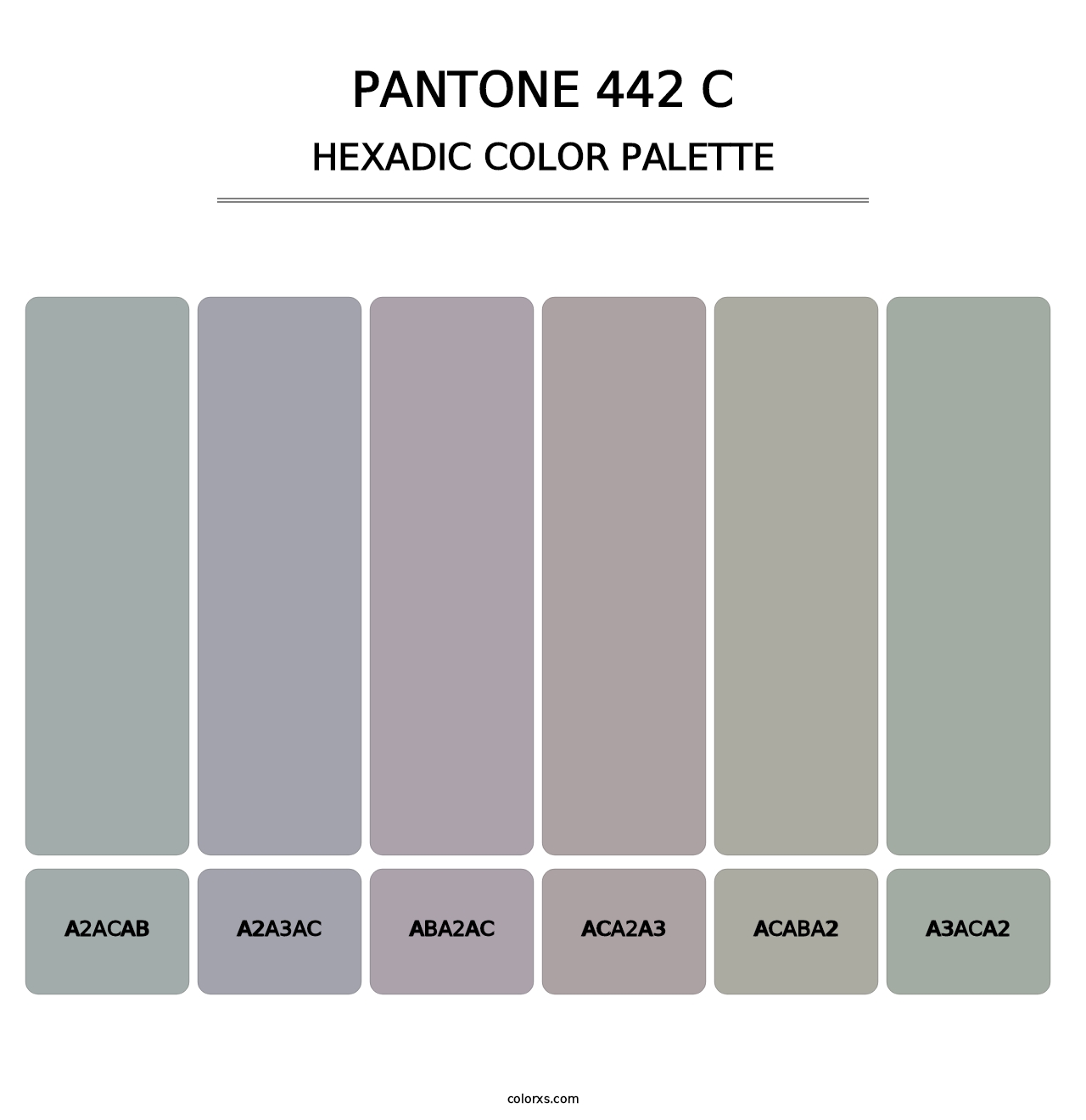 PANTONE 442 C - Hexadic Color Palette