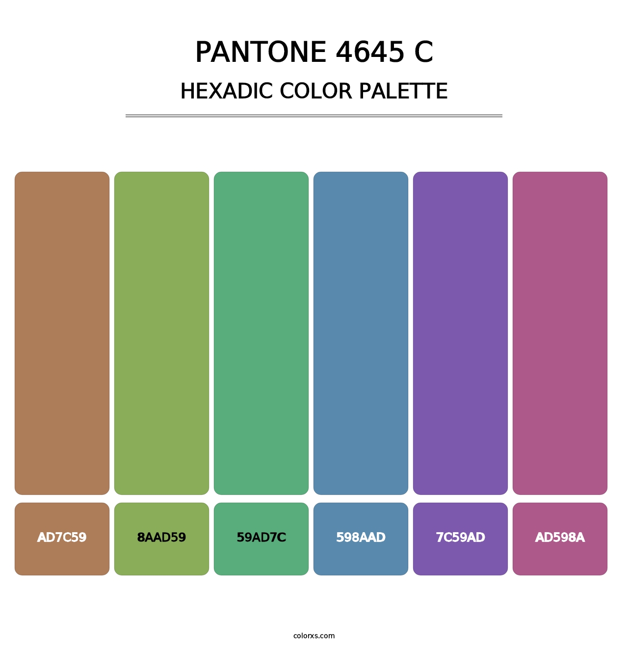 PANTONE 4645 C - Hexadic Color Palette