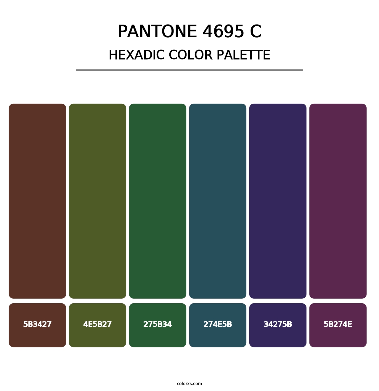PANTONE 4695 C - Hexadic Color Palette