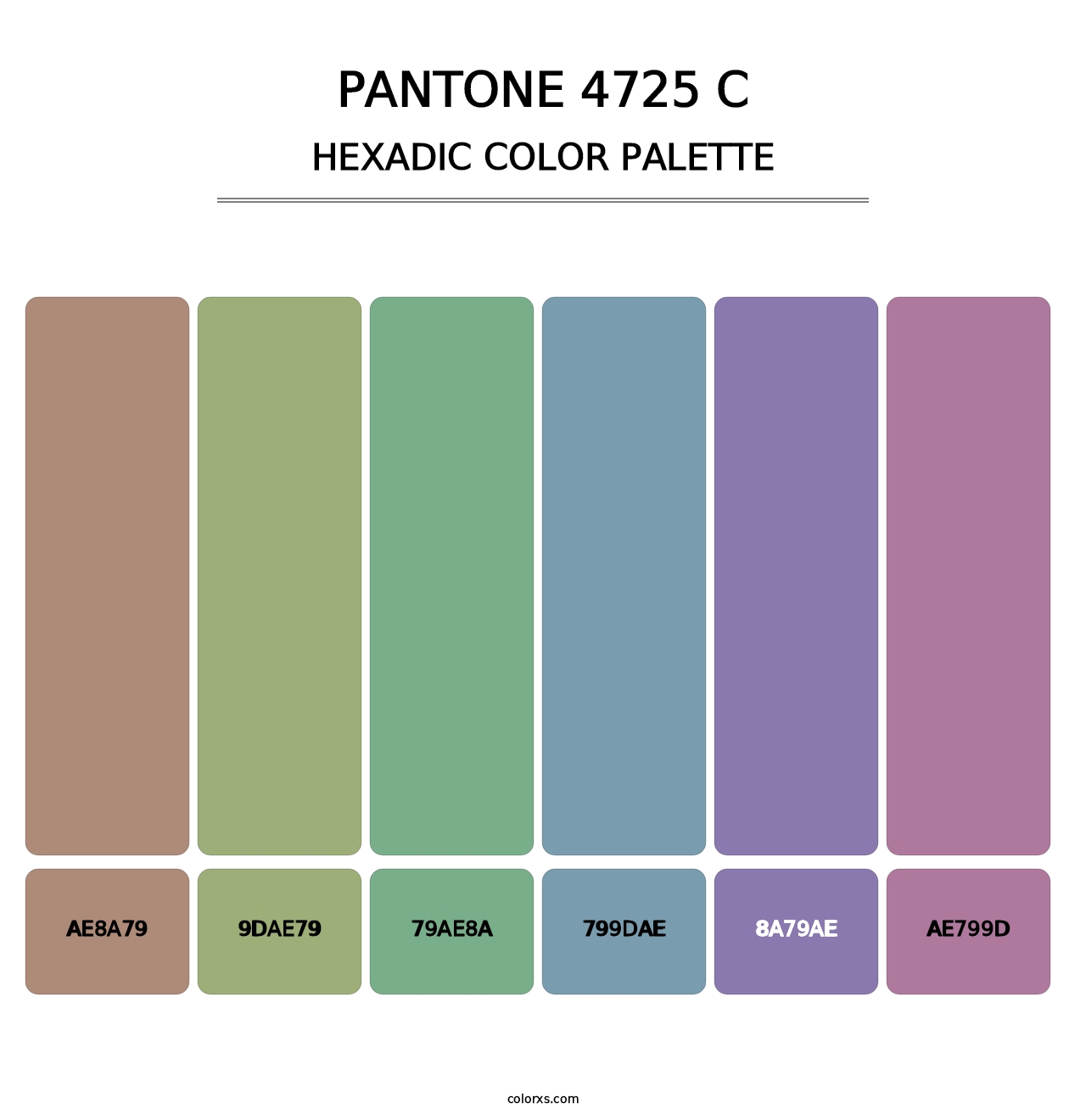 PANTONE 4725 C - Hexadic Color Palette